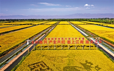 <p>　　贺兰县稻渔空间秋景。本报记者　李涛　摄</p>