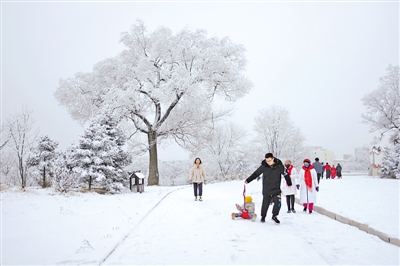 <p>　　戏雪　　　　2月10日，泾源县卧龙山公园，人们纷纷走出家门到公园戏雪游玩。　</p><p>　　本报通讯员</p><p>　　马平　摄　　</p>