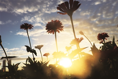 清晨六点   宁夏的模样