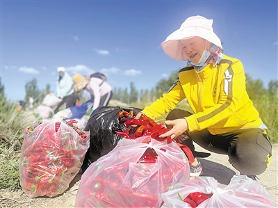 采摘体验旅游助力乡村振兴