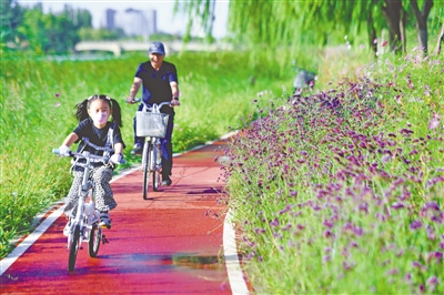 ②绚烂夺目的马鞭草沿河而开,将市民带入童话世界。
