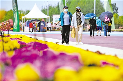     9月26日，银川市第十二届菊花展在银川花博园开展，市民们惬意地穿行在花丛中。此次菊花展以“喜迎二十大”为主题，展摆的菊花多达200多个品种，2万余盆。
    本报记者 马楠 摄