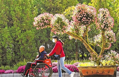     10月6日，银川市花博园里，子女带着老人赏花。                        晨 摄（网名）