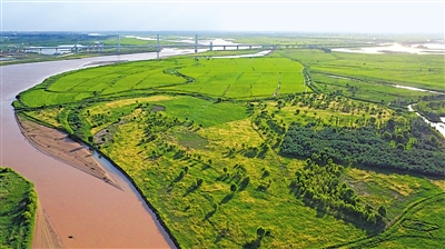 银川滨河黄河湿地。									     （图片由受访者提供）