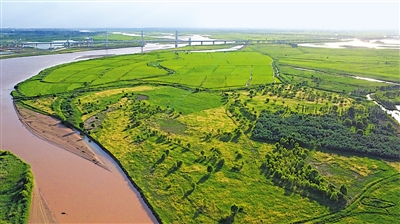 银川滨河黄河湿地。 （图片由受访者提供）