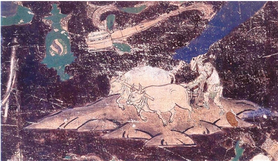 敦煌壁画中的牛耕图像