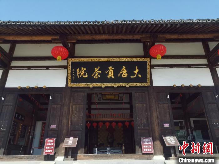 演绎“大唐贡茶”前世今生：续写千年茶文化全新篇章