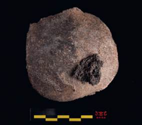 彩绘兵马俑什么样？慈禧太后下葬穿龙袍？国际博物馆日展览为你揭晓