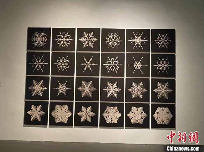 作品《雪花工场》由计算机生成。　童笑雨 摄