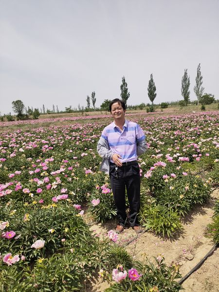 “甘草榔头”李生兵，呕心百草化药香