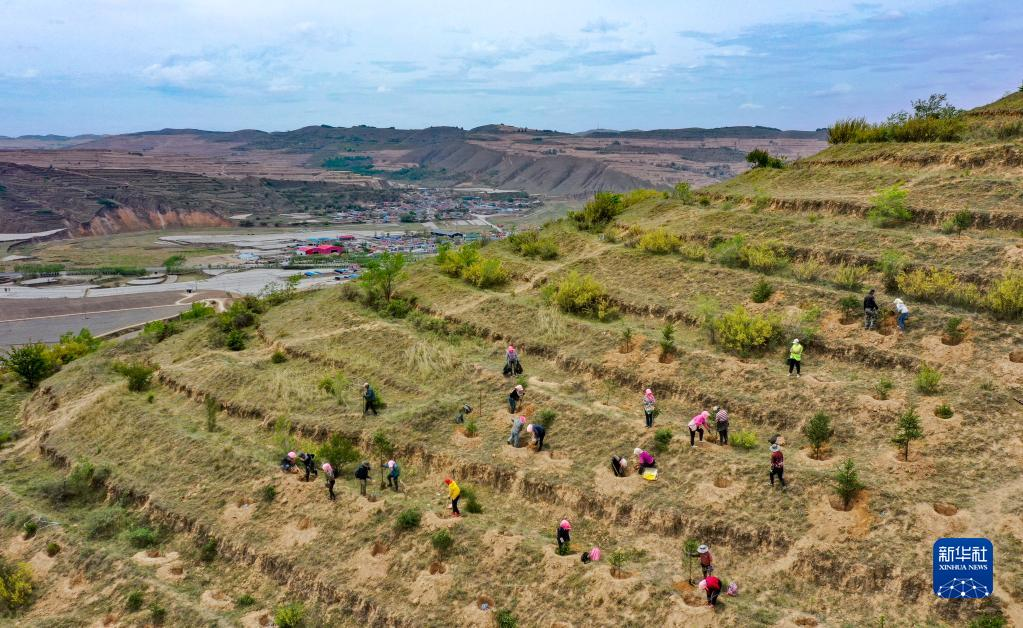 西吉县人口2021_西吉县最新人口普查结果公布,全县常住人口为315827人 比重(3)