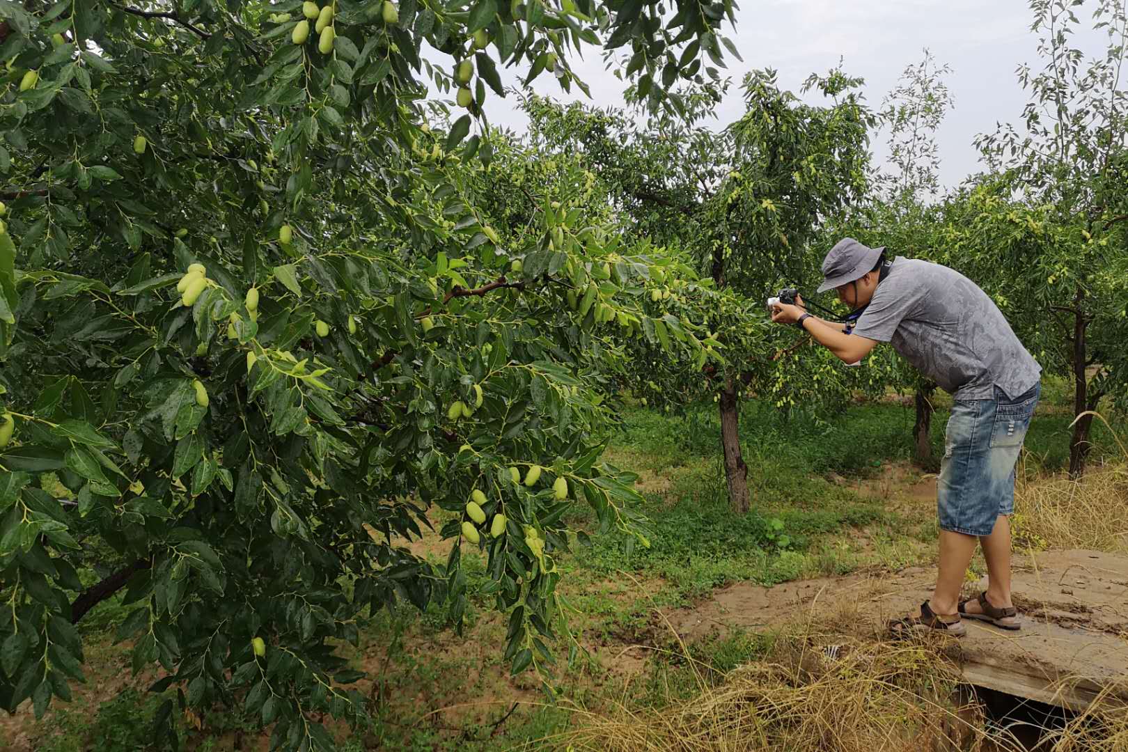 微信图片_20180815153222.jpg 微信图片_20180815153222.jpg
