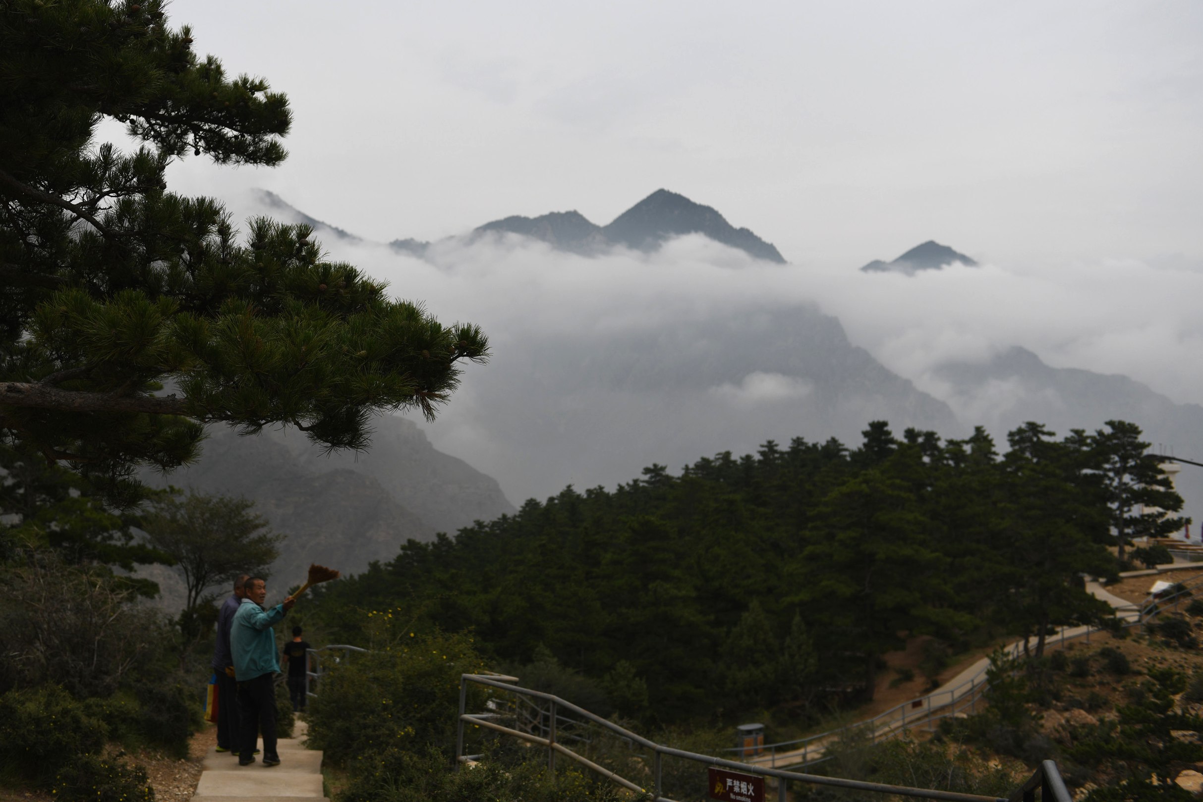 DSC_3837.jpg DSC_3837.jpg