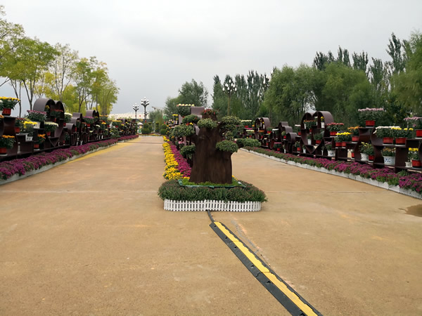 mmexport1537178425640.jpg mmexport1537178425640.jpg