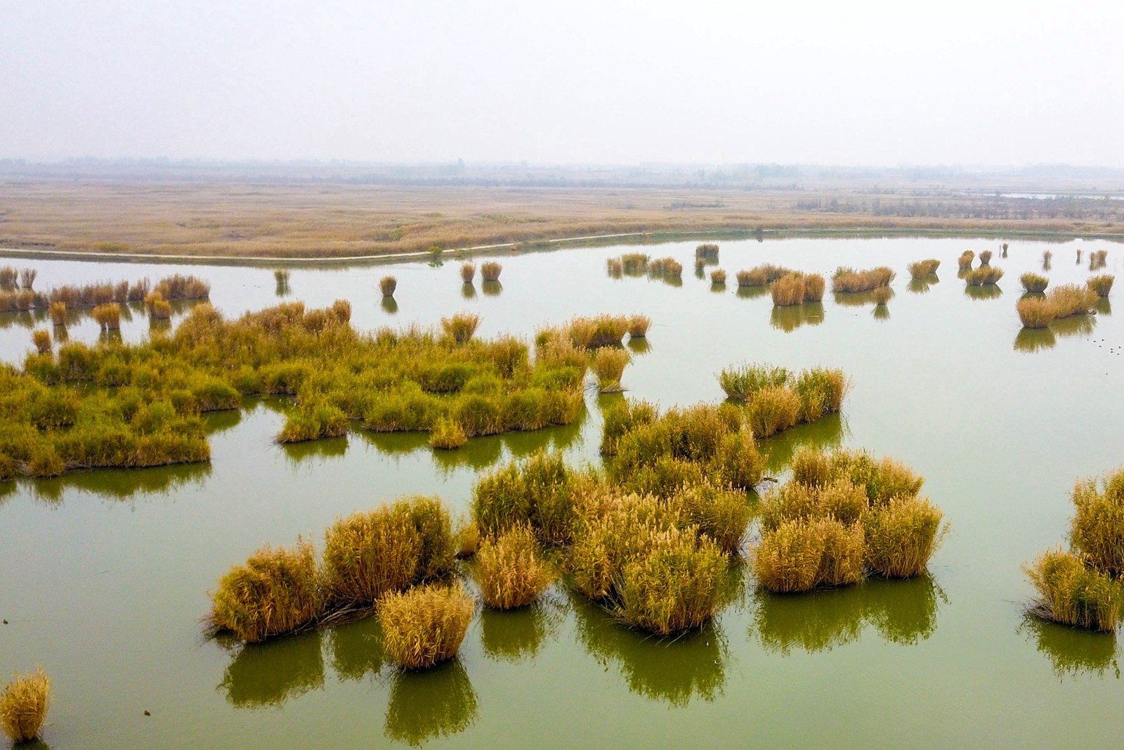 DJI_0010.jpg DJI_0010.jpg