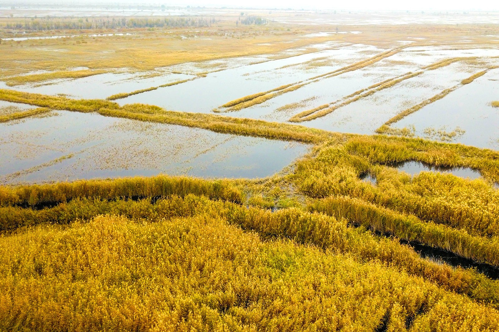 DJI_0033.jpg DJI_0033.jpg