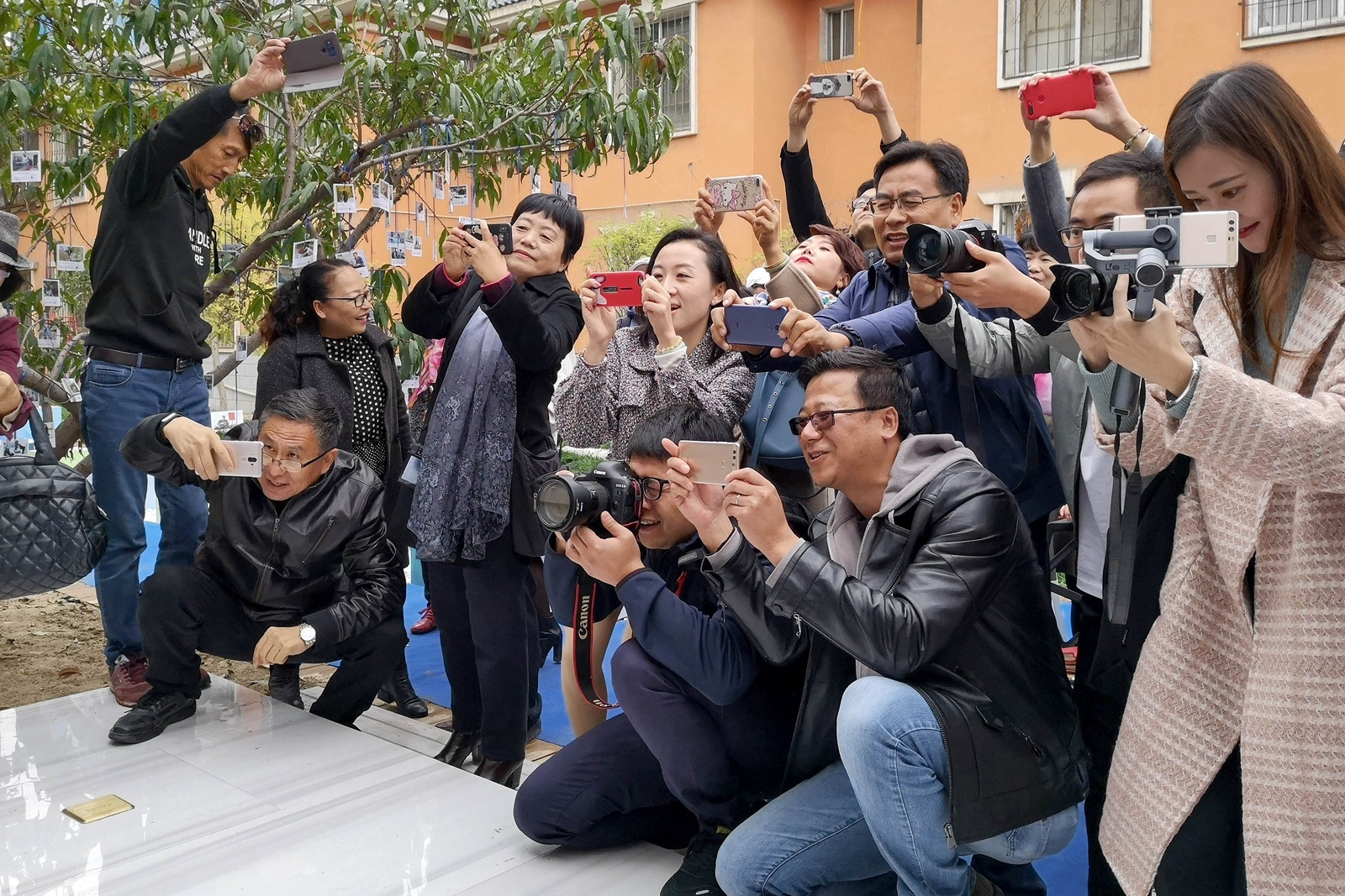微信图片_20181020211835.jpg 微信图片_20181020211835.jpg