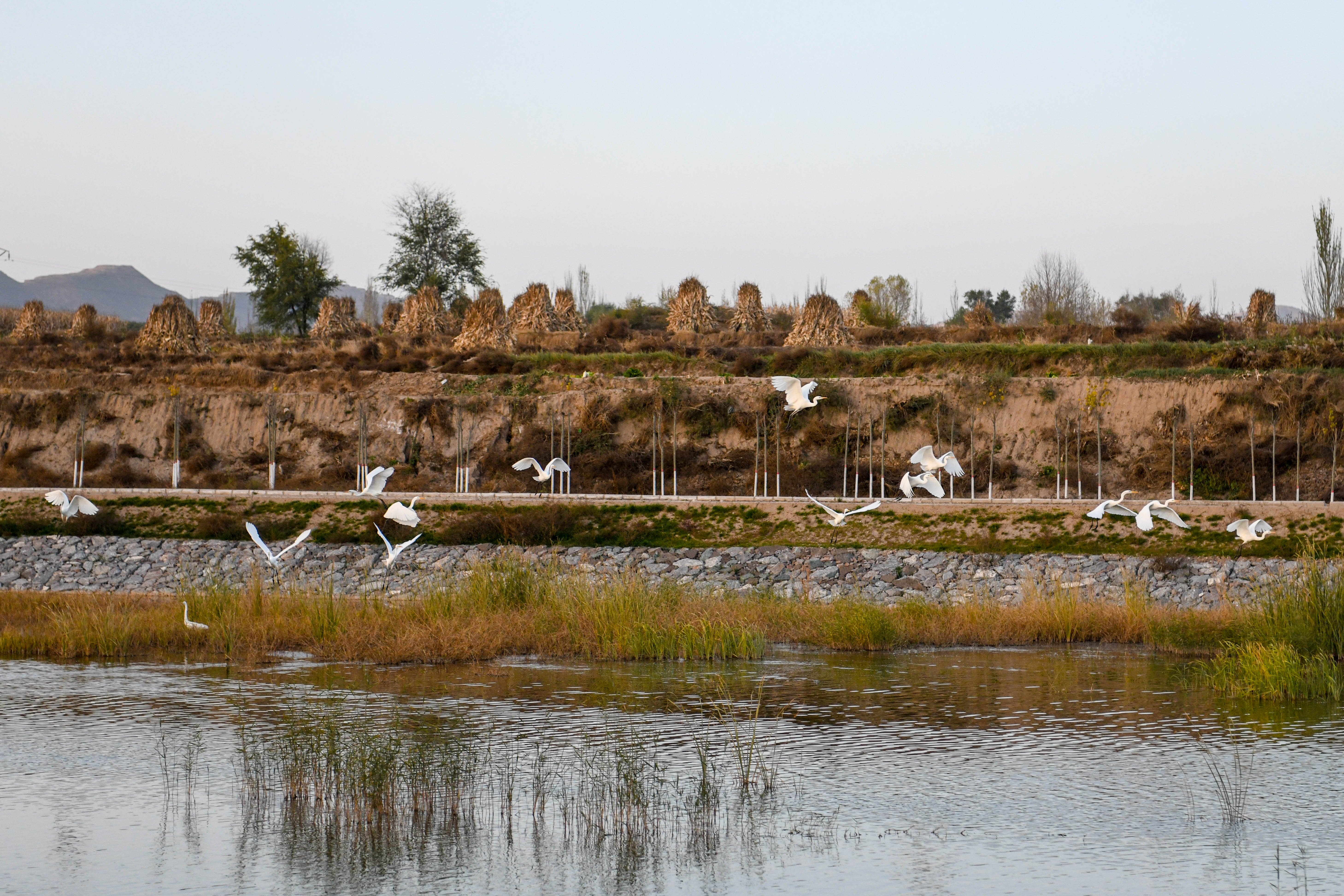 DSC_8924.jpg DSC_8924.jpg