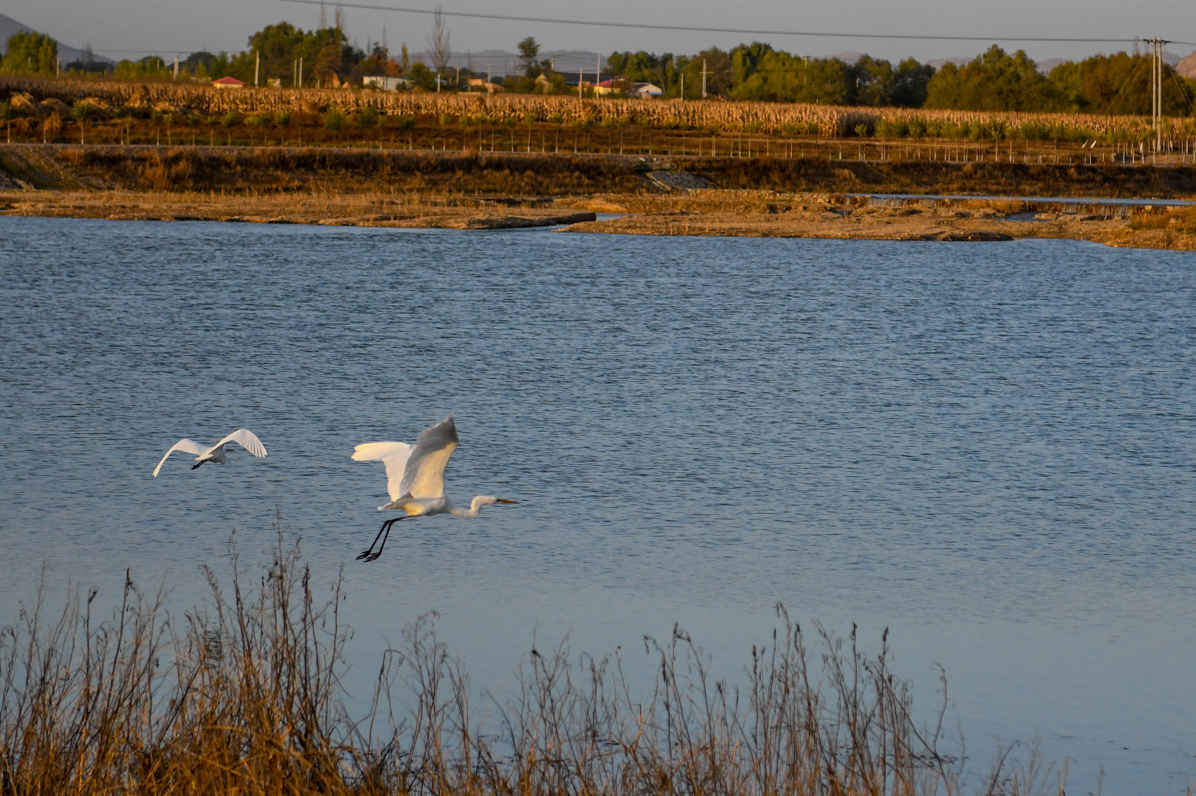 DSC_8821.jpg DSC_8821.jpg