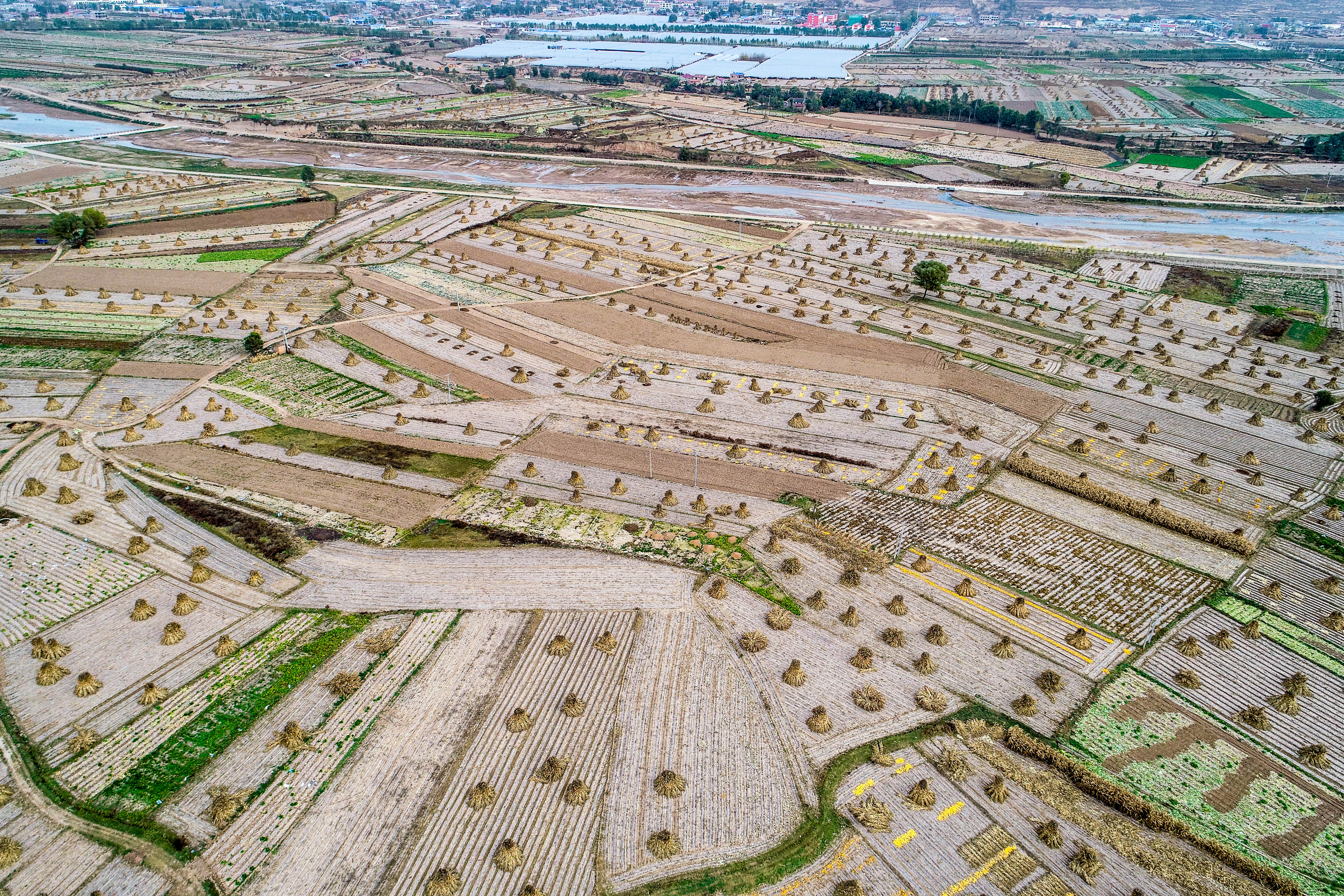 DJI_0186.jpg