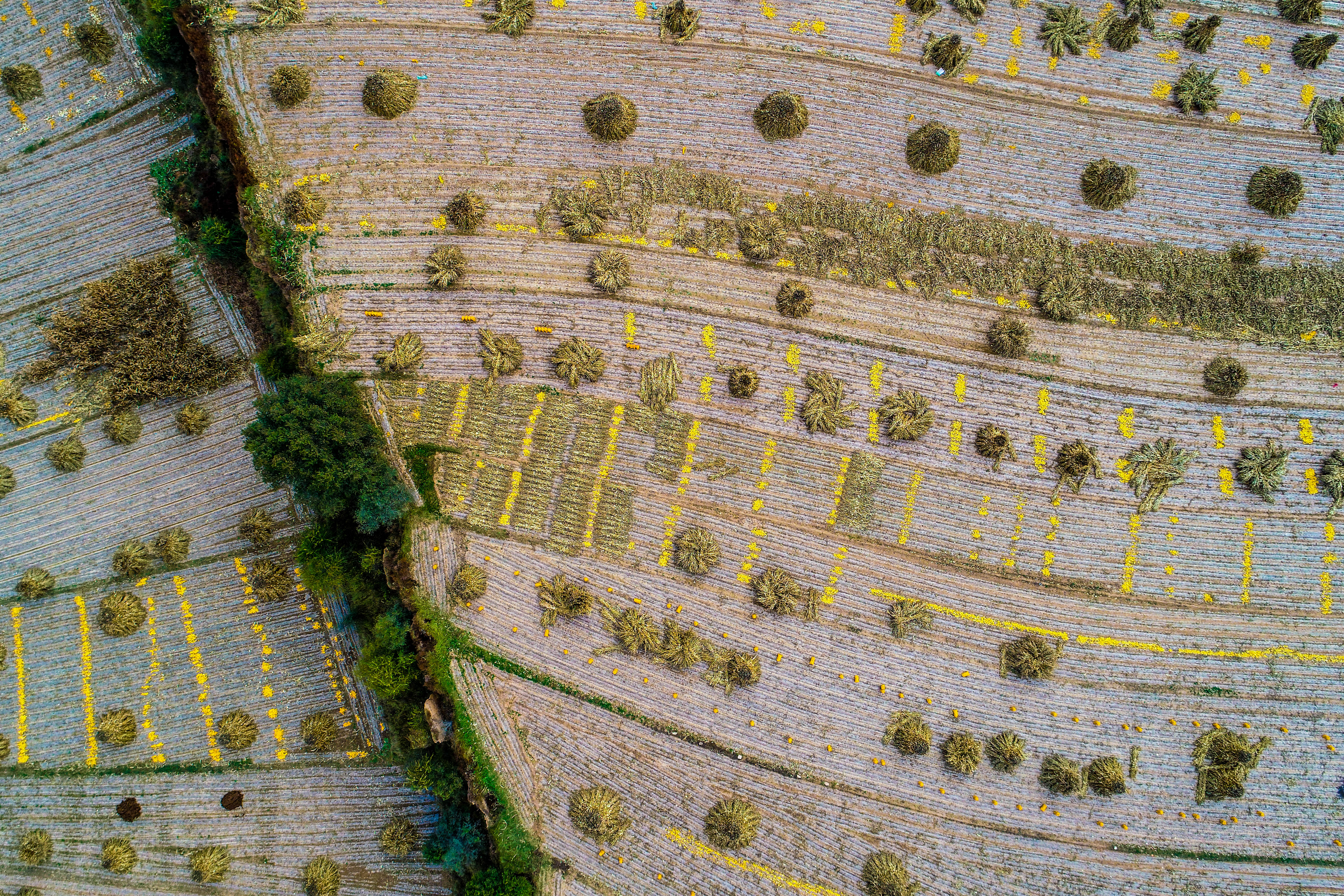 DJI_0179.jpg