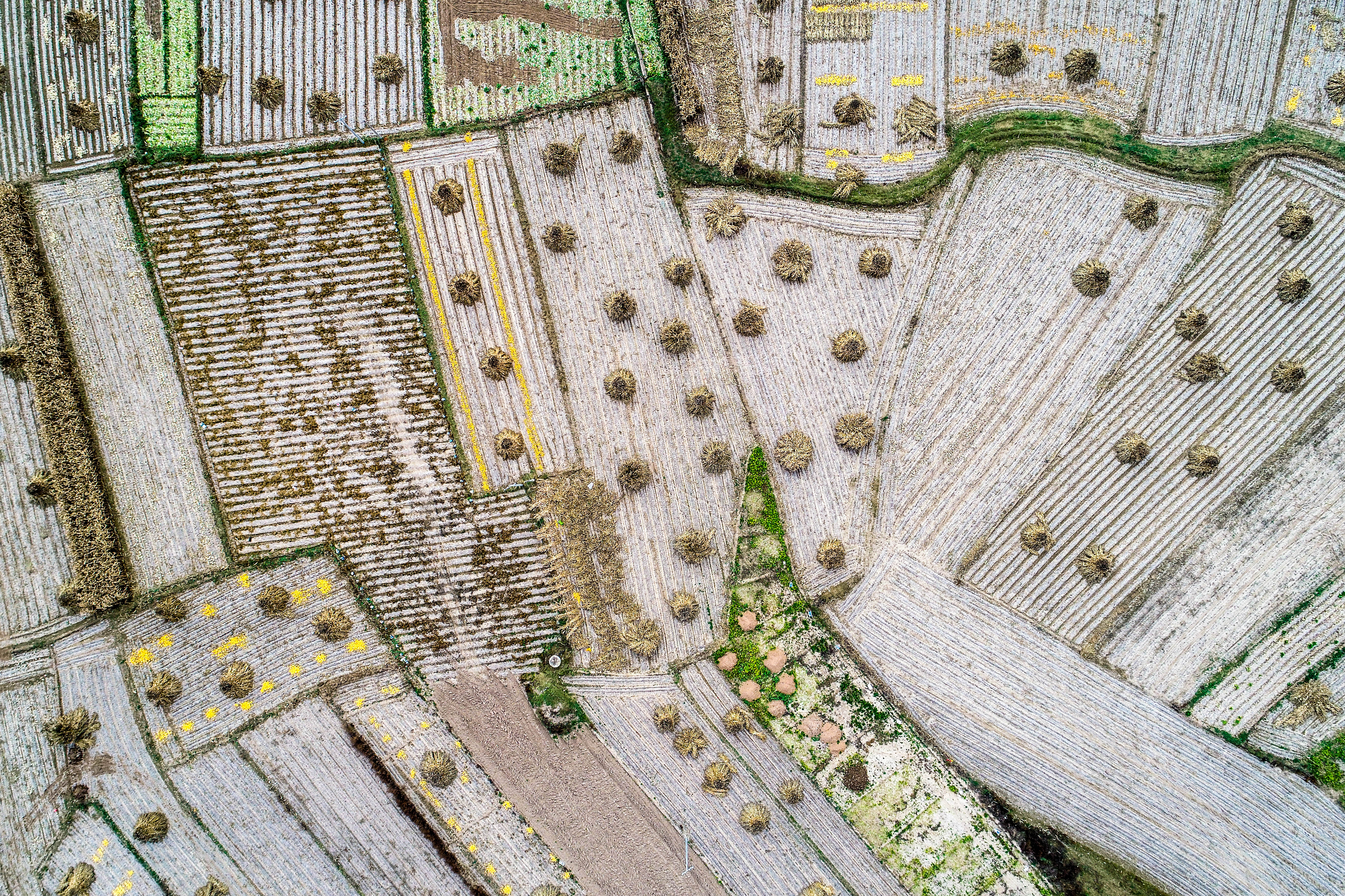 DJI_0191.jpg