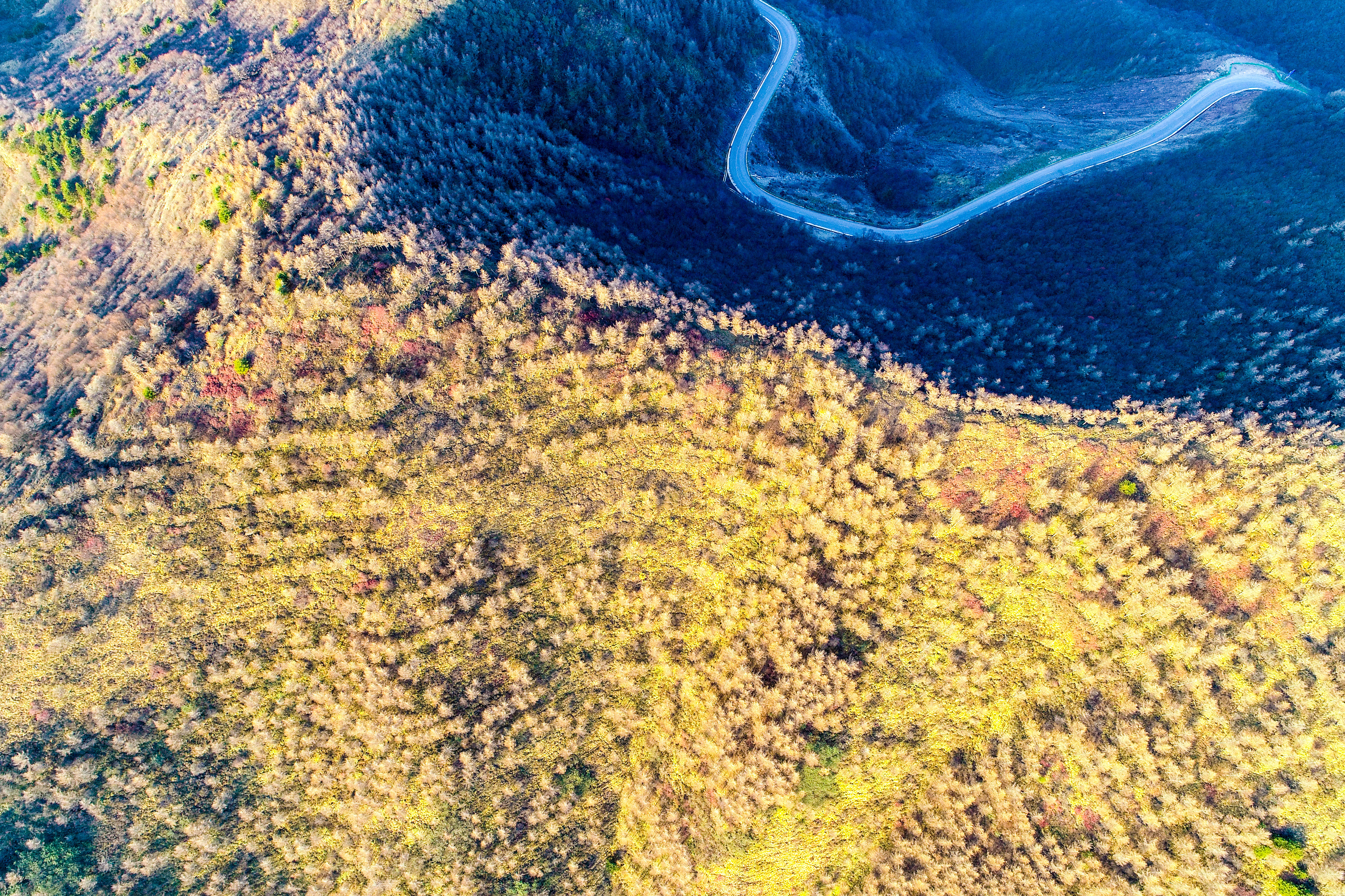 DJI_0559.jpg