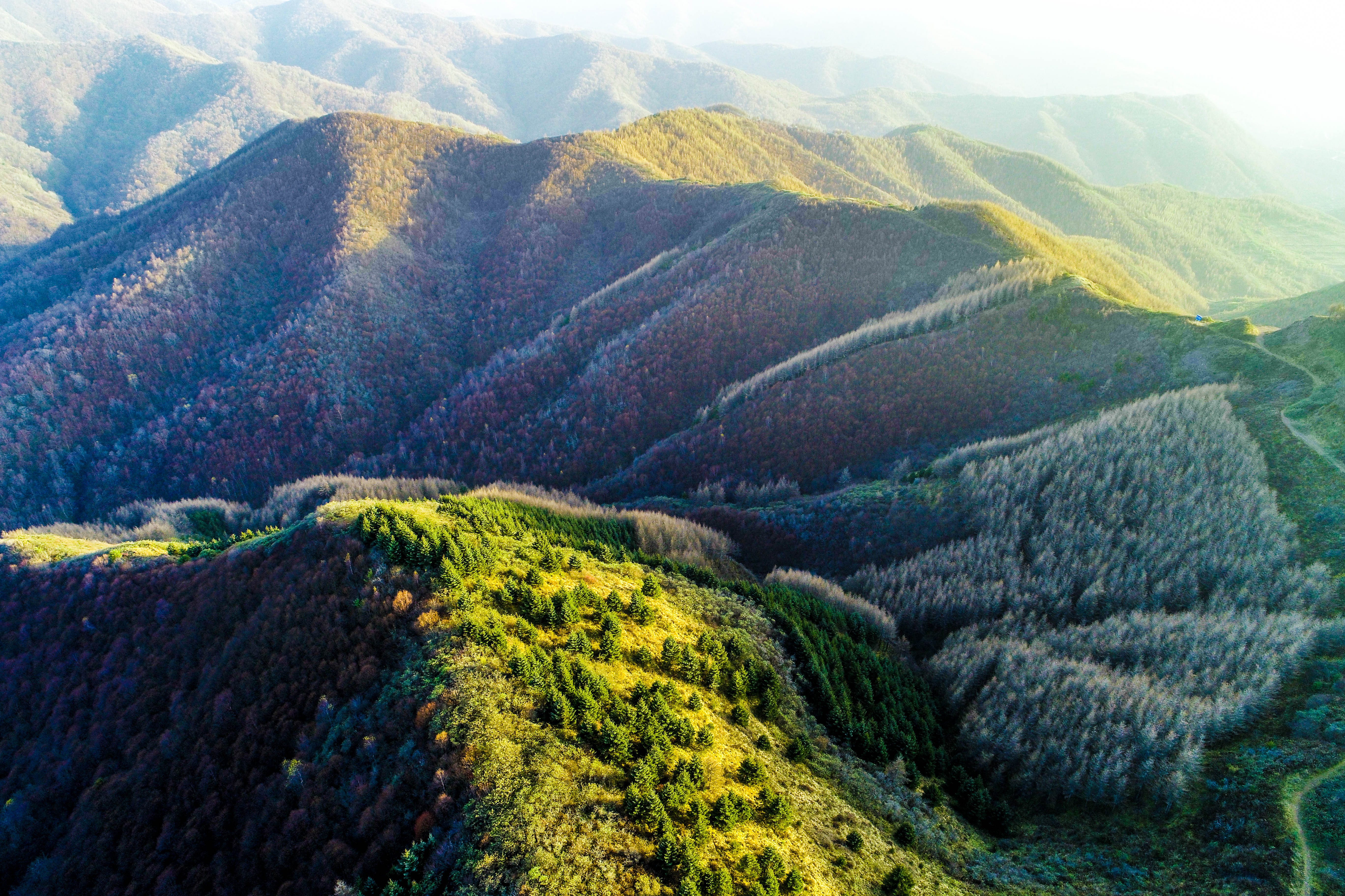 DJI_0582.jpg
