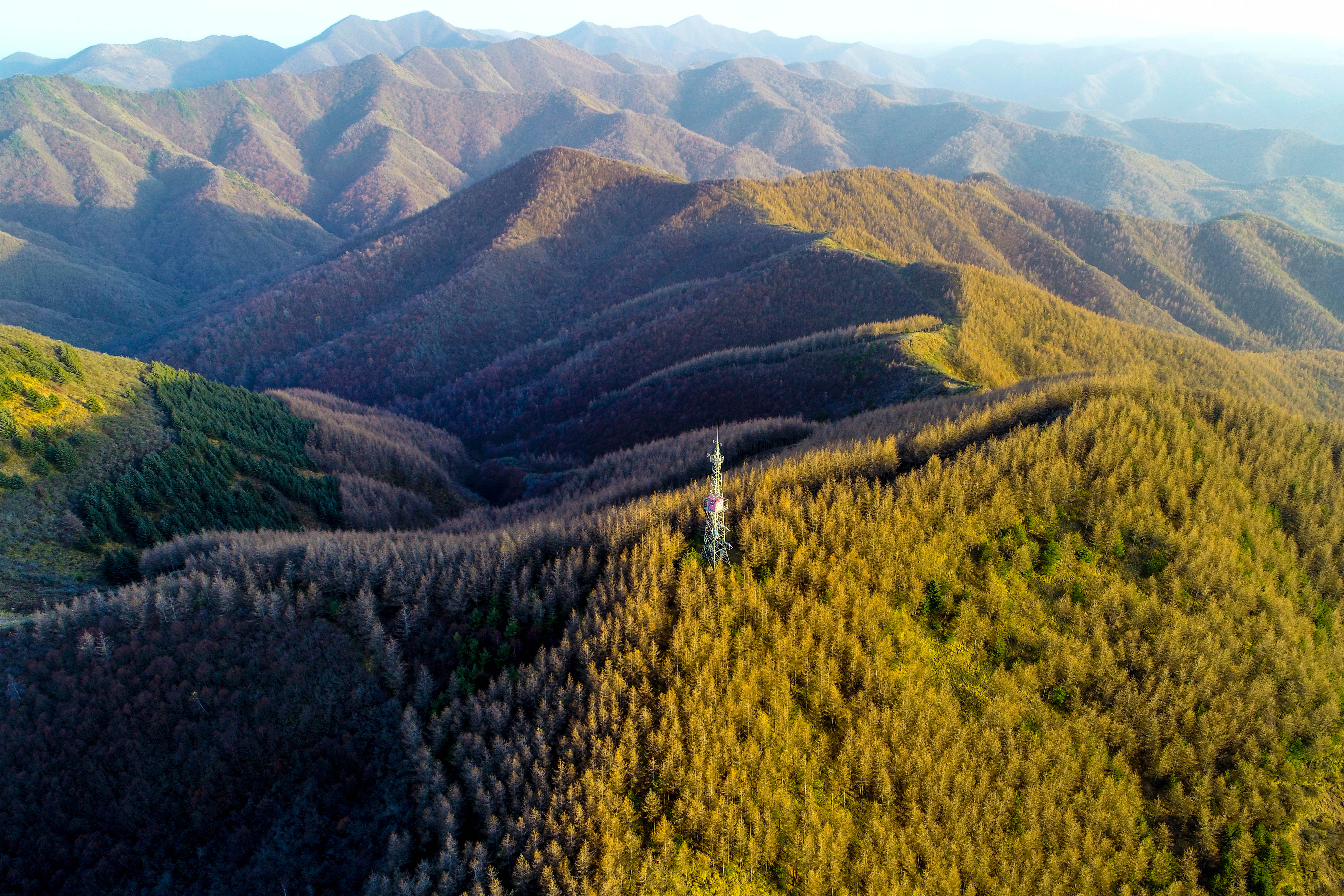 DJI_0605.jpg