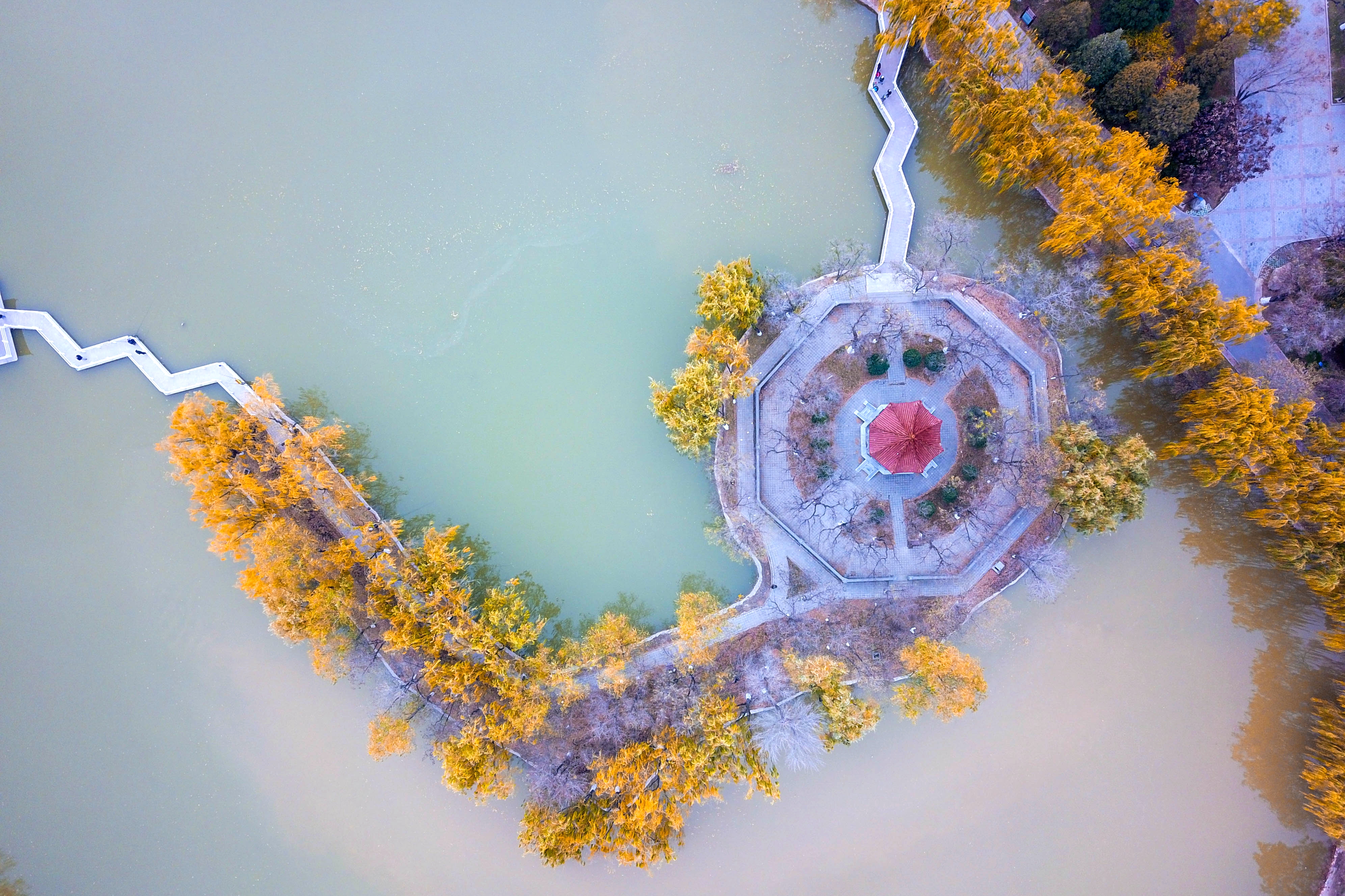 DJI_0011.jpg