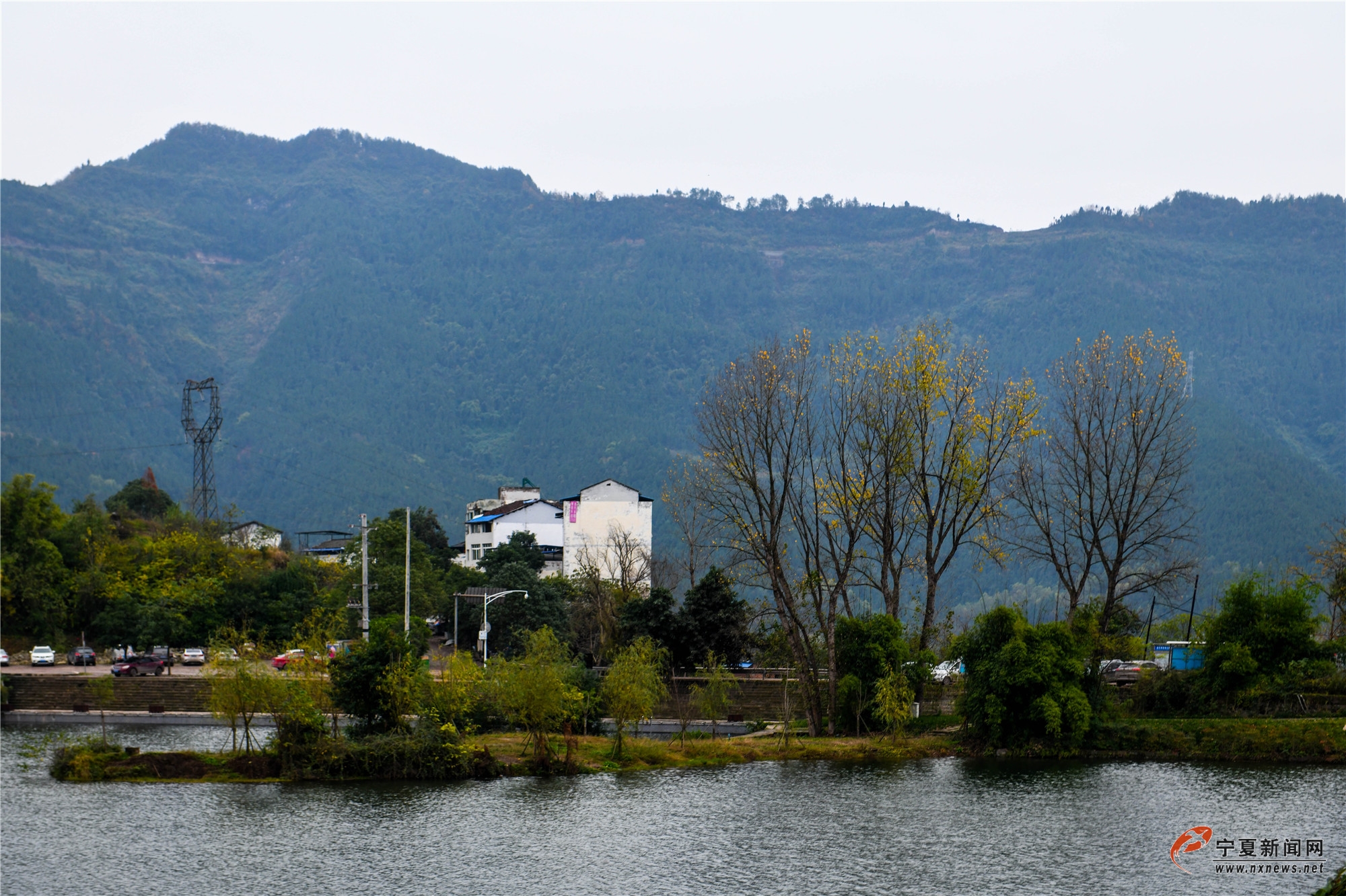 nEO_IMG_DSC_5029.jpg