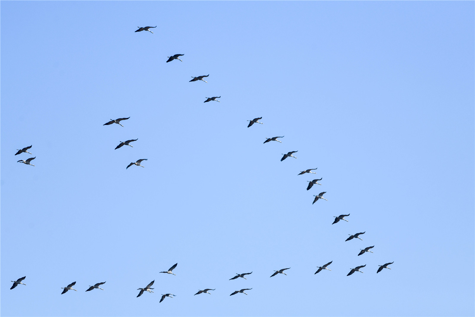 DSC_0950.jpg