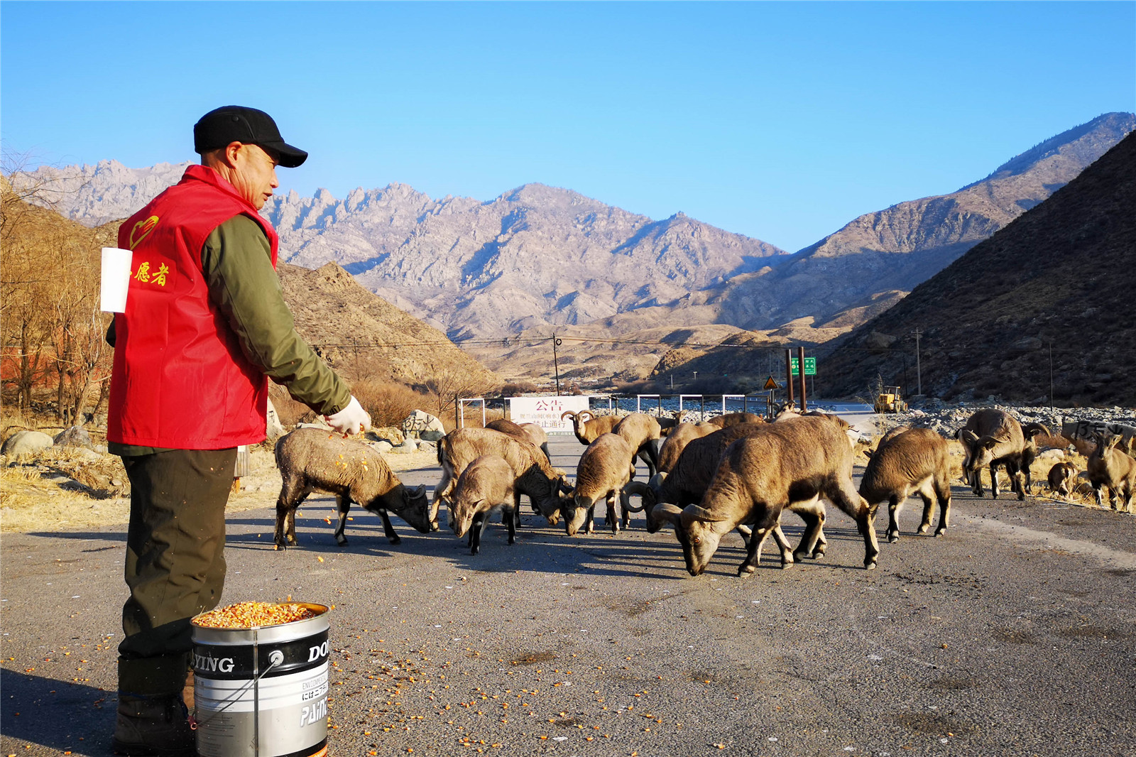 微信图片_20190105195303.jpg