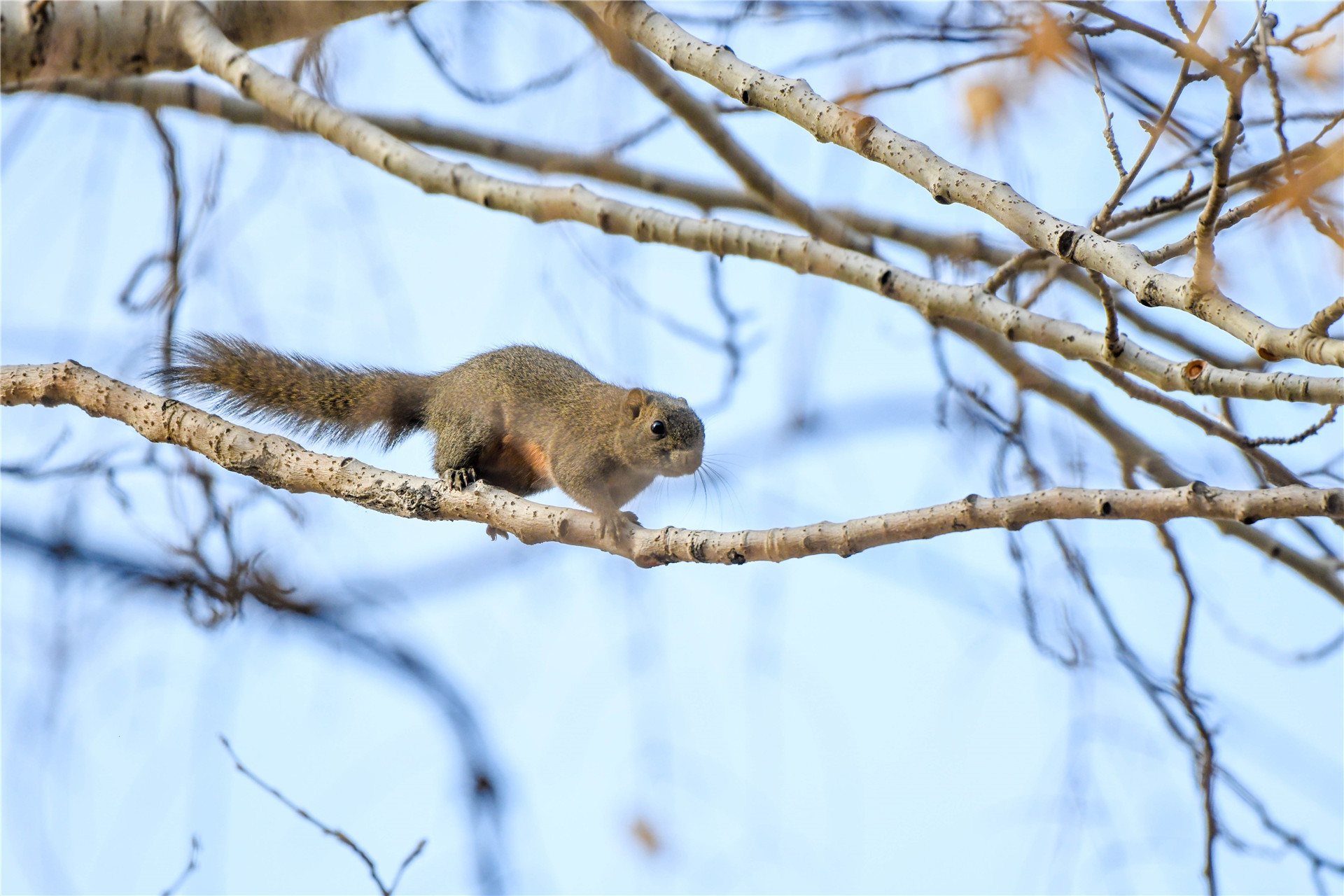 DSC_2893.jpg DSC_2893.jpg