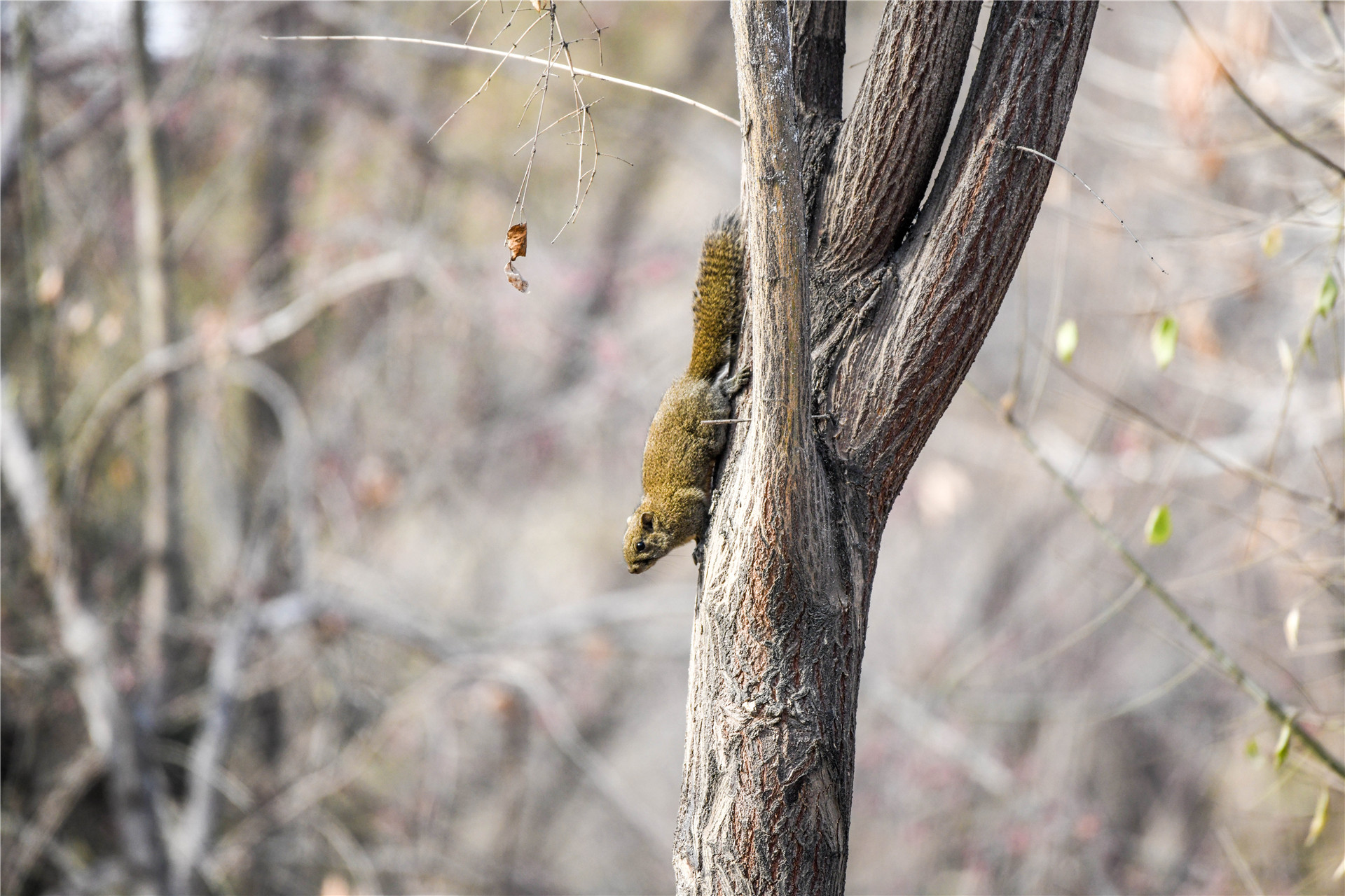 DSC_2906.jpg DSC_2906.jpg
