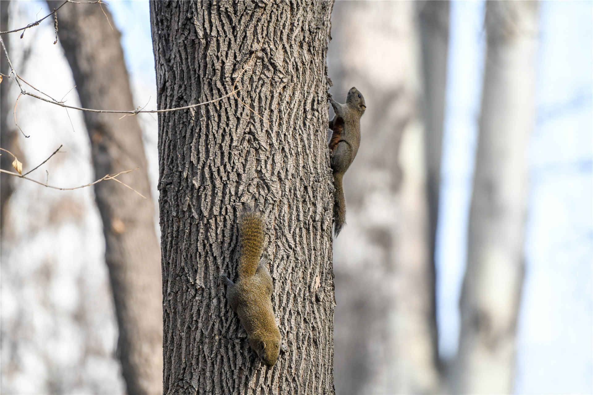 DSC_3067.jpg DSC_3067.jpg