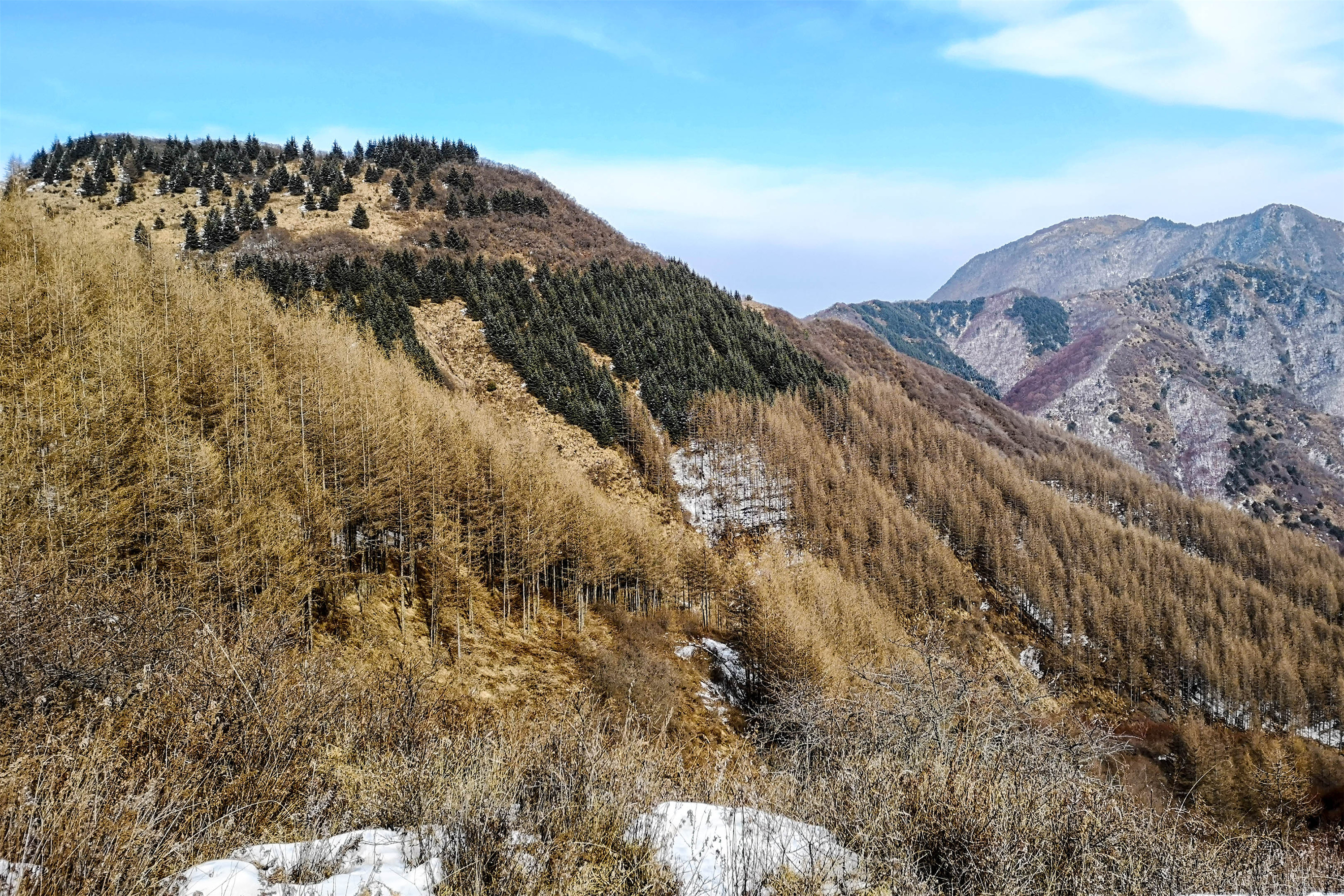 IMG_20190222_145757.jpg