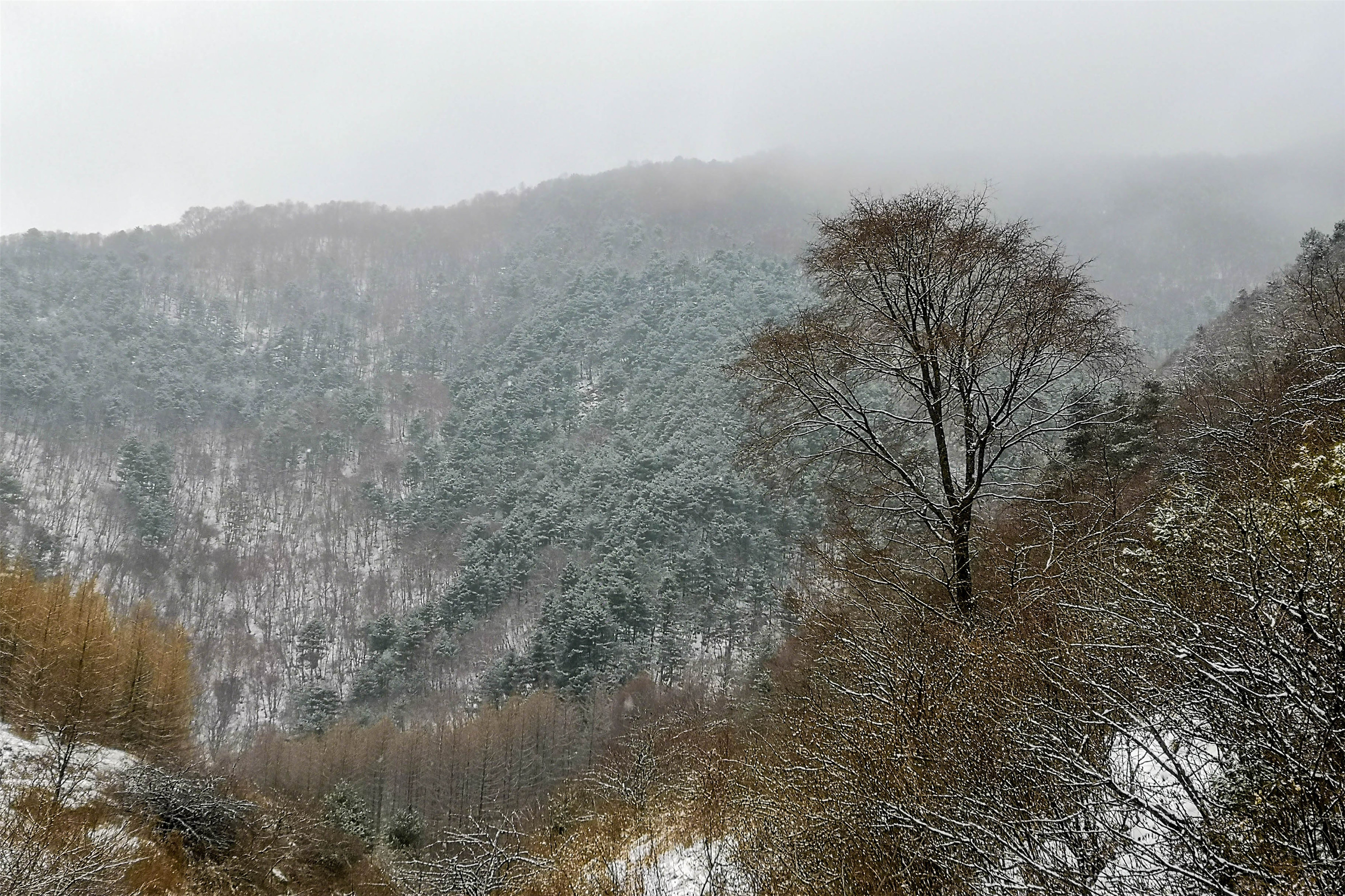 IMG_20190224_113016.jpg