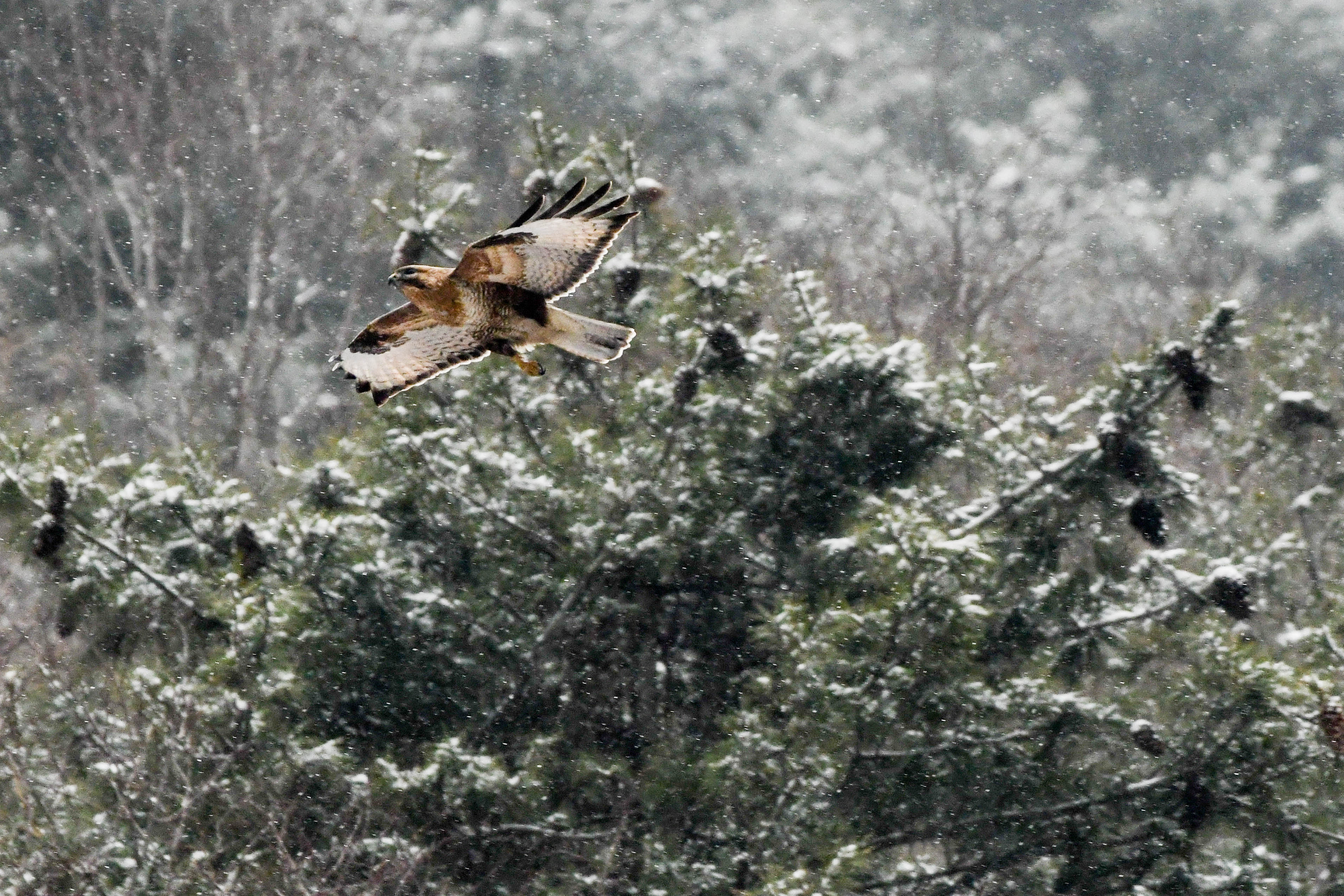QYT_5680-wps图片.jpg