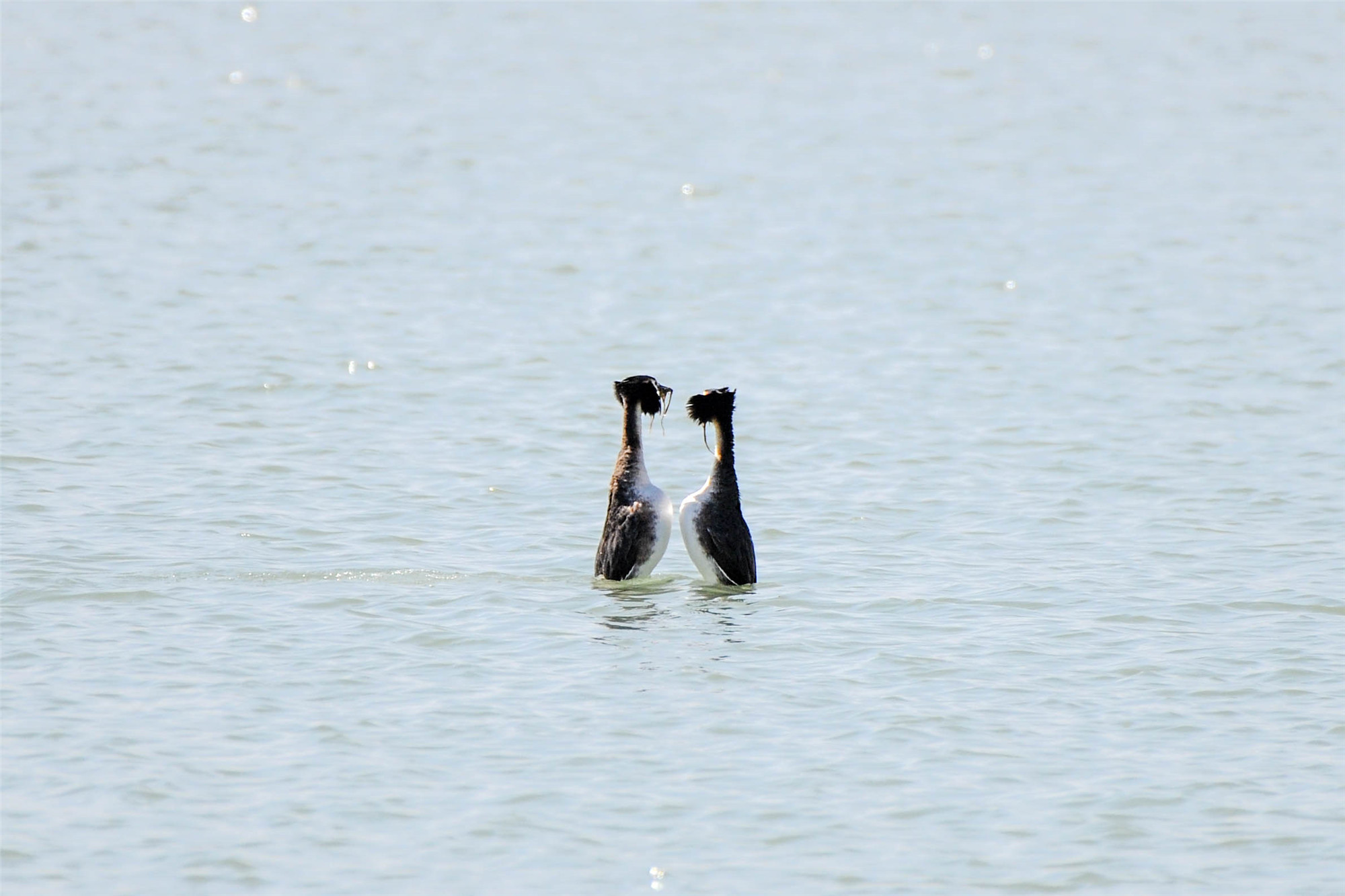 DSC_5953.jpg DSC_5953.jpg