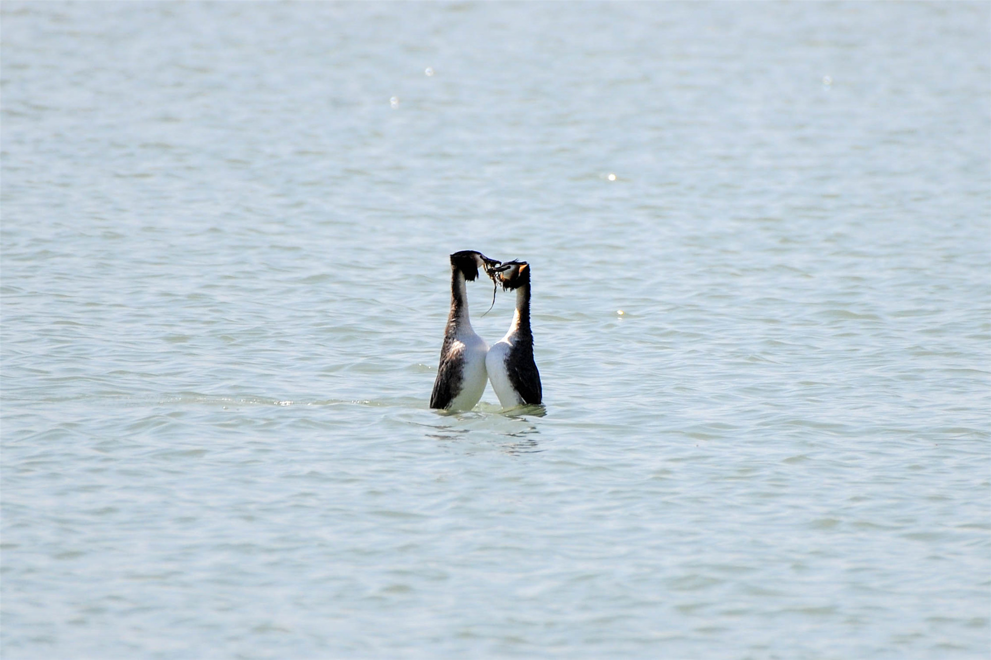 DSC_5954.jpg DSC_5954.jpg