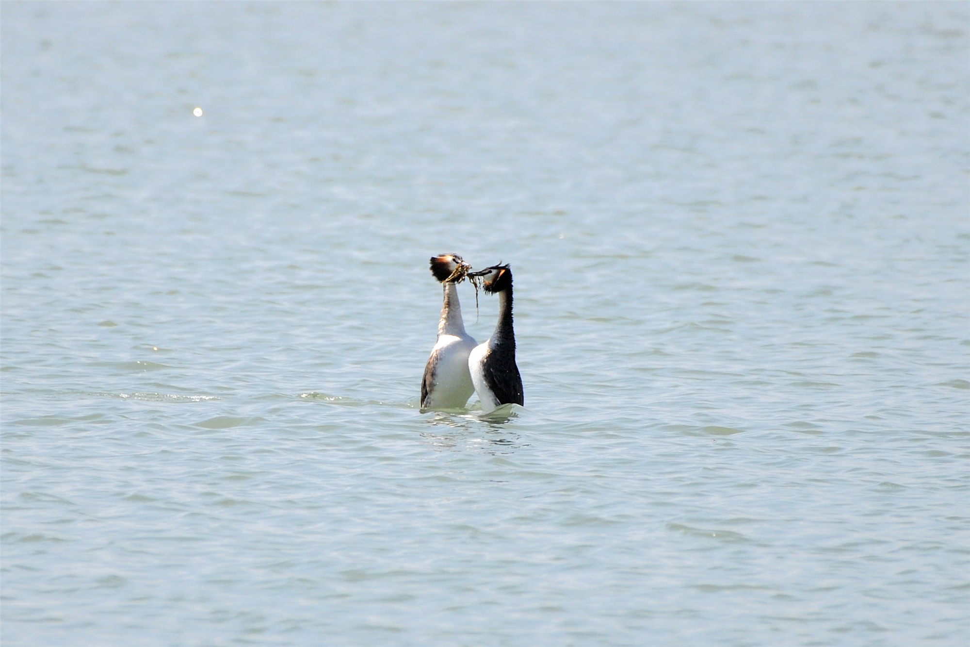 DSC_5957.jpg DSC_5957.jpg