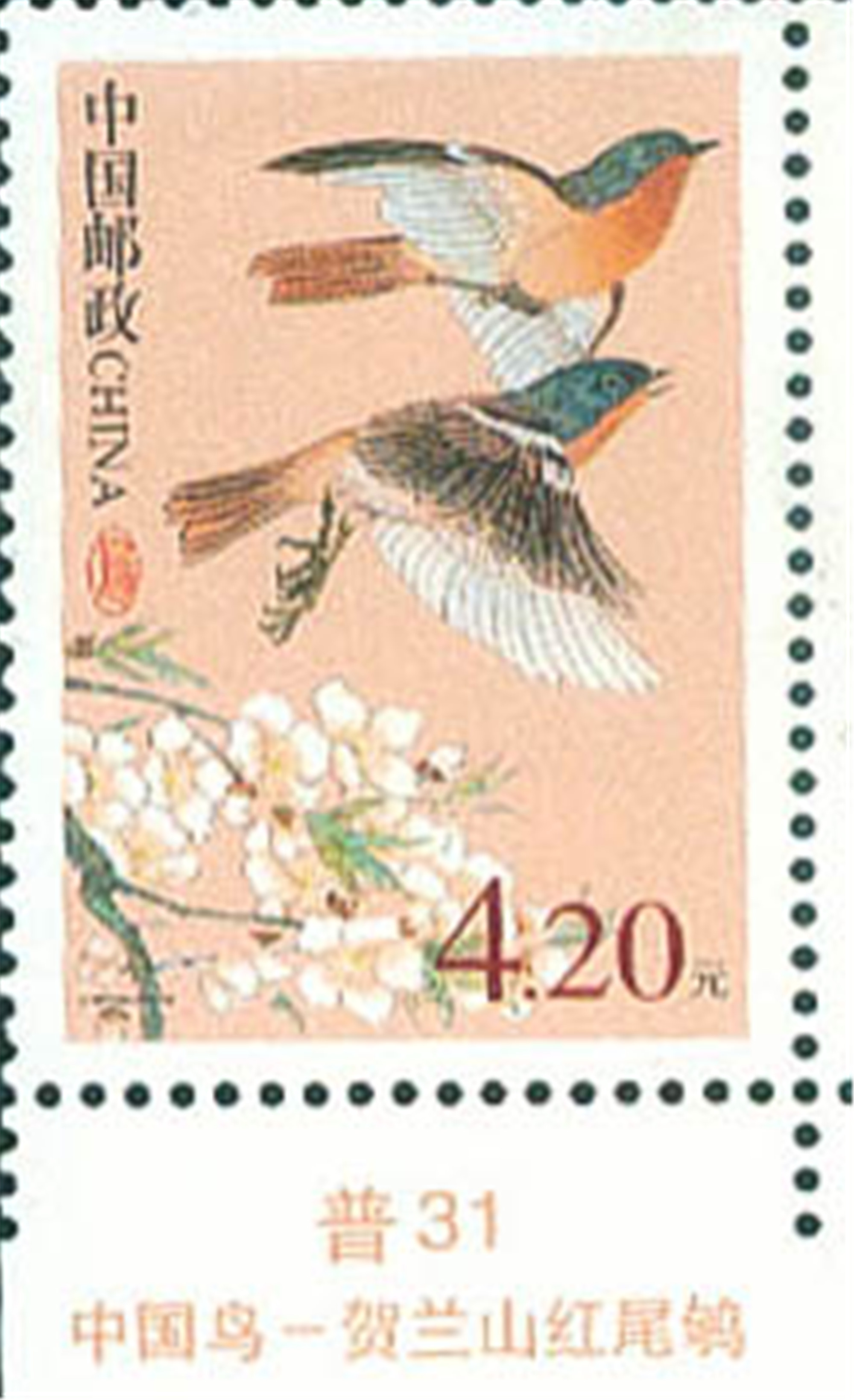 2000年发行的贺兰山红尾鸲邮票.jpg