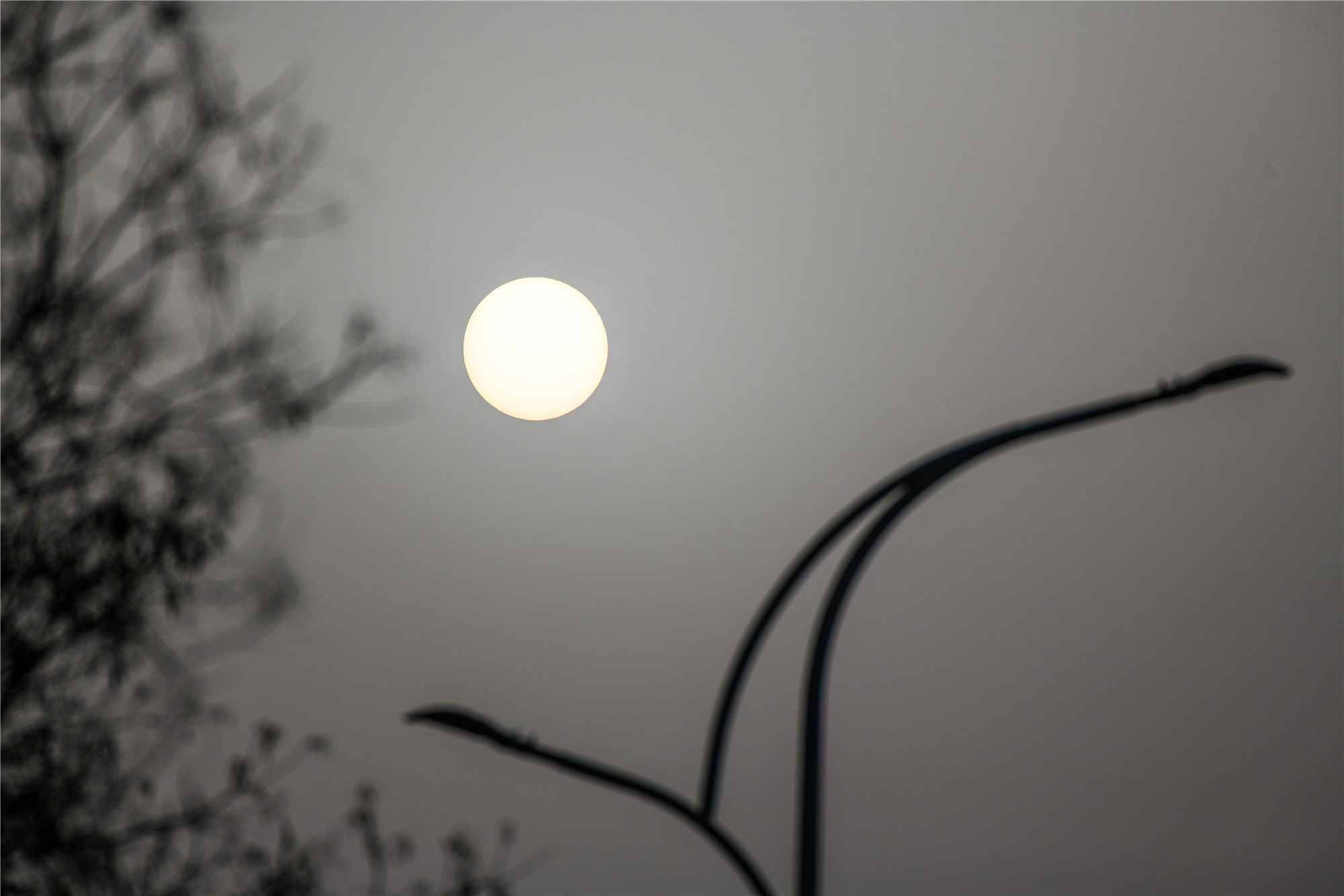 DSC_9616.jpg