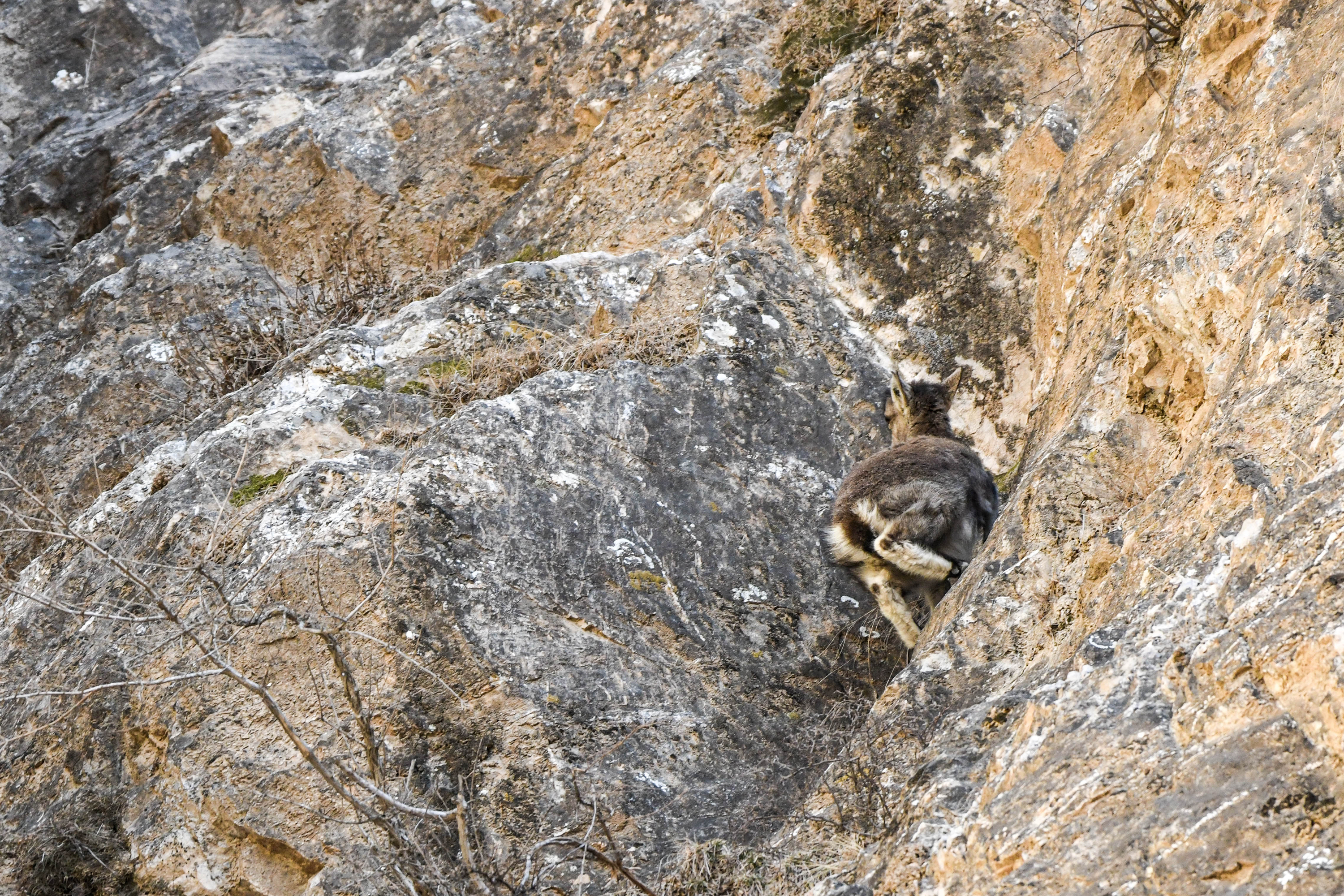 DSC_9794.jpg DSC_9794.jpg