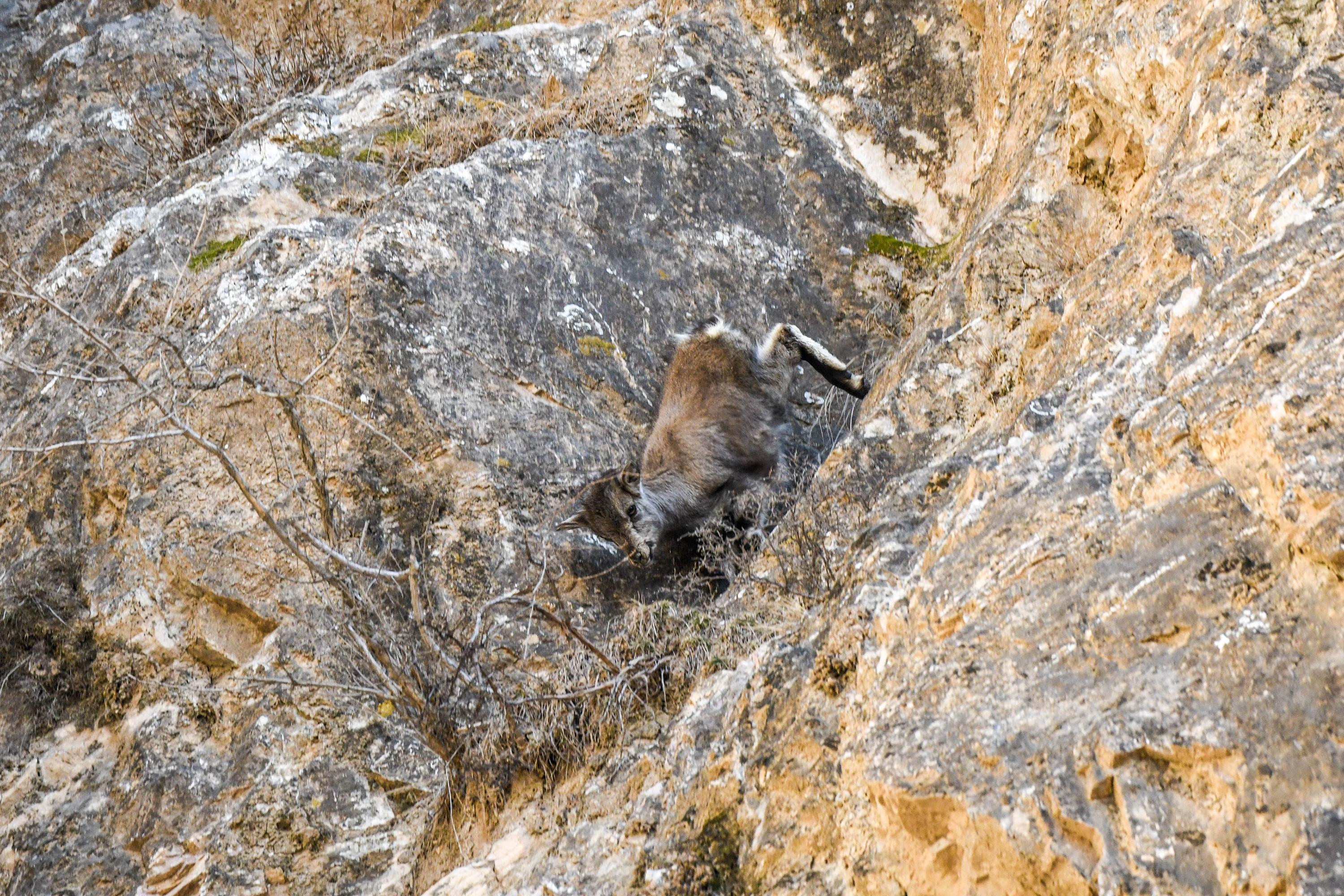 DSC_9797.jpg DSC_9797.jpg