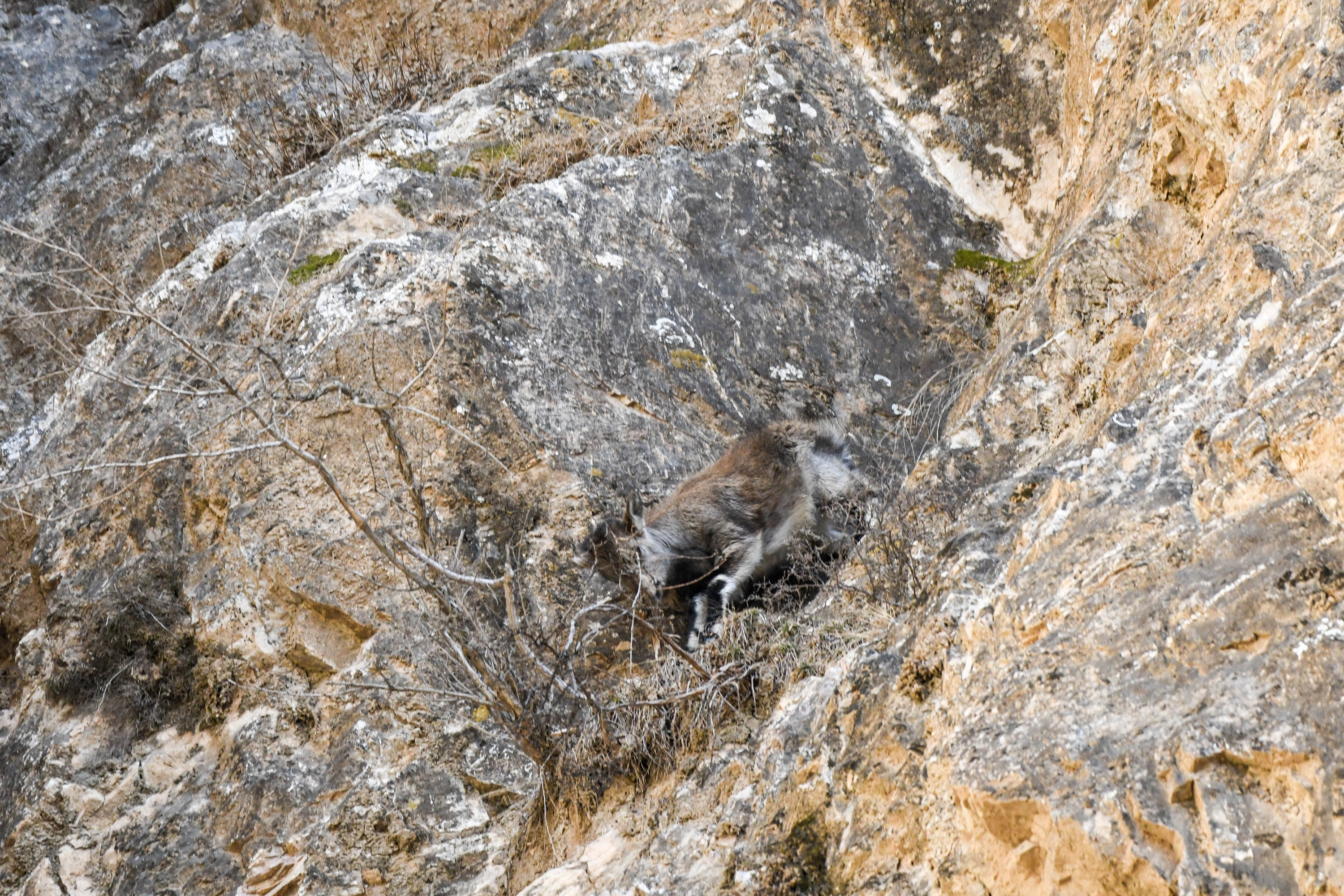DSC_9798.jpg DSC_9798.jpg