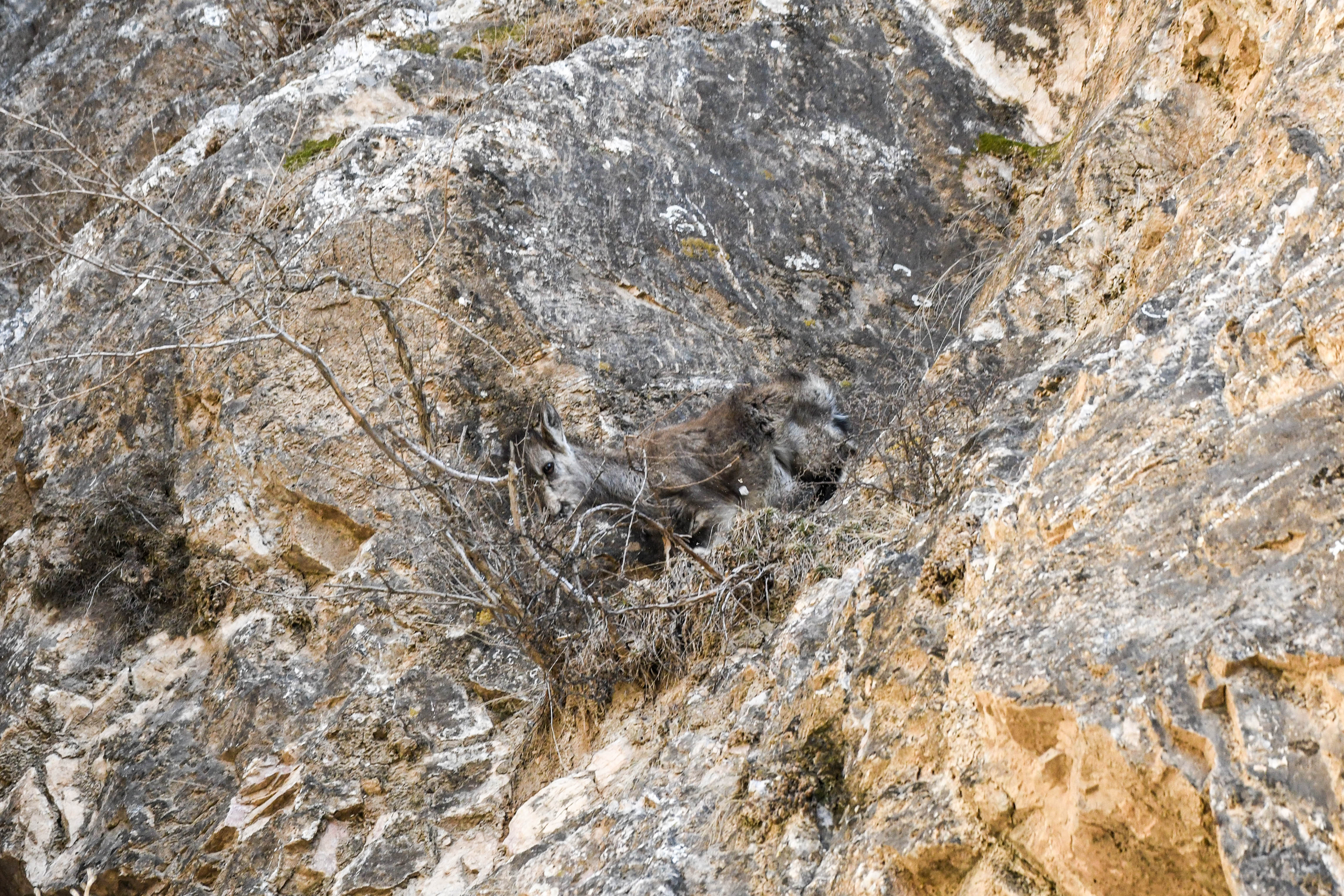 DSC_9799.jpg DSC_9799.jpg