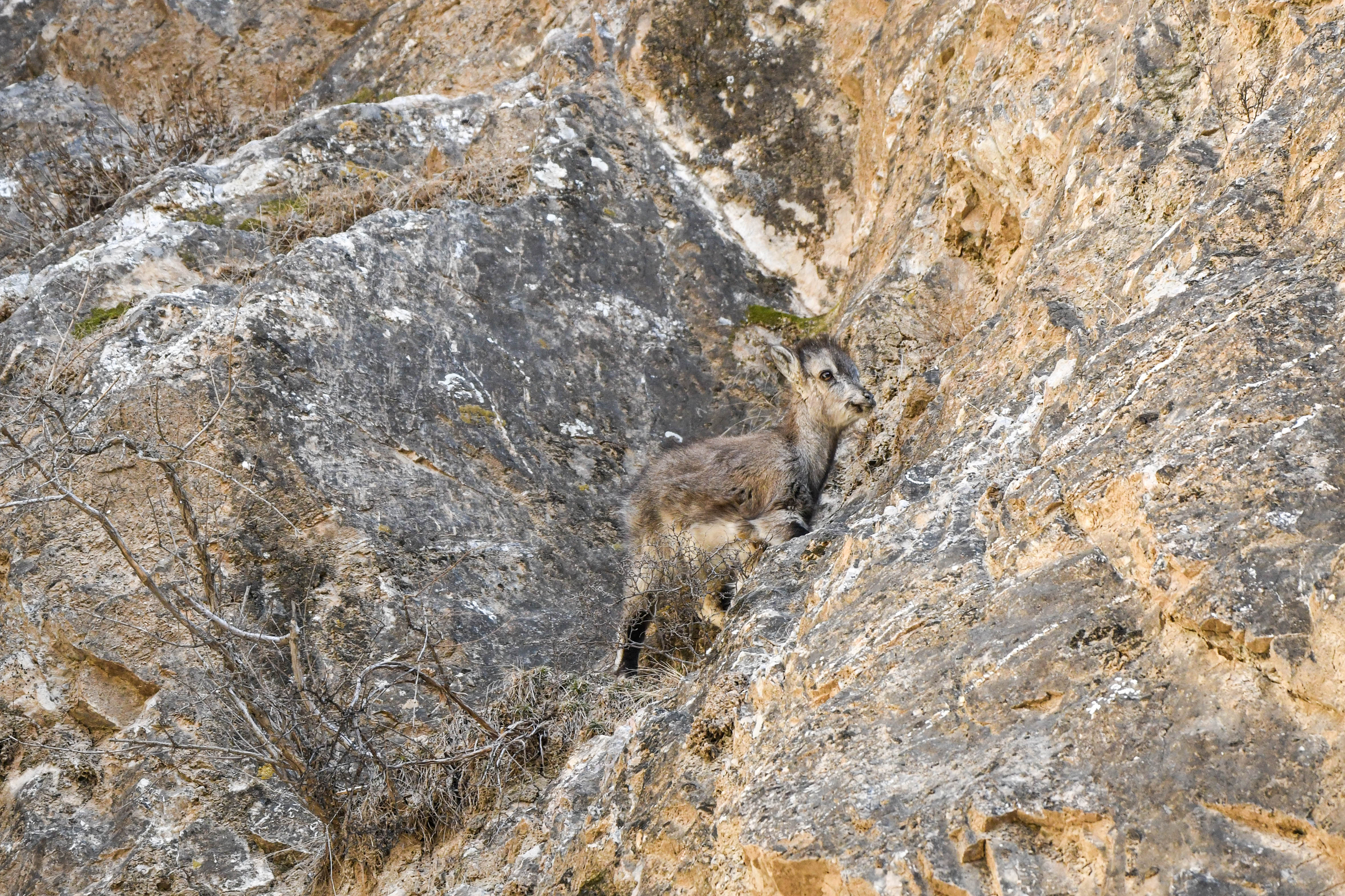 DSC_9801.jpg DSC_9801.jpg