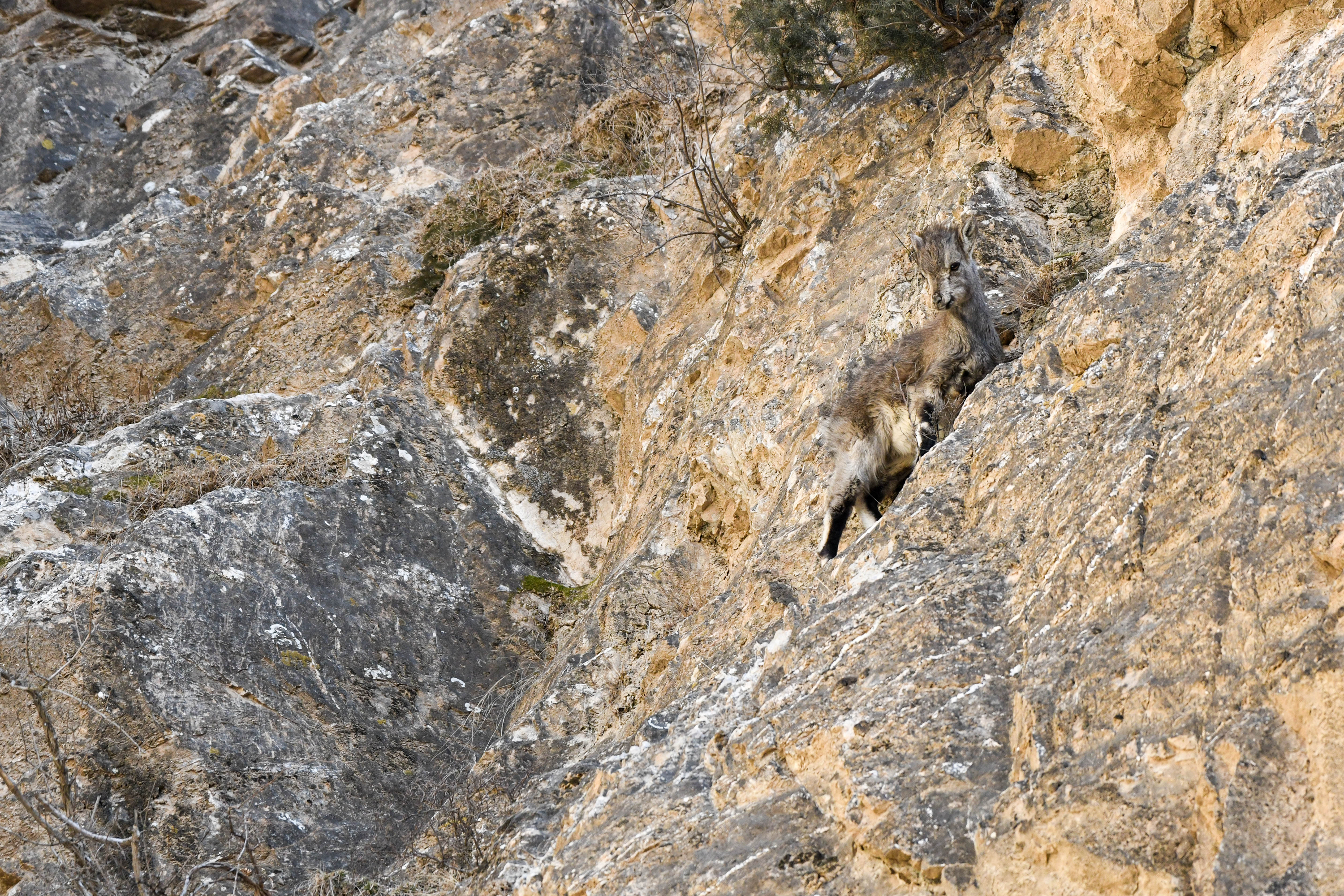 DSC_9804.jpg DSC_9804.jpg